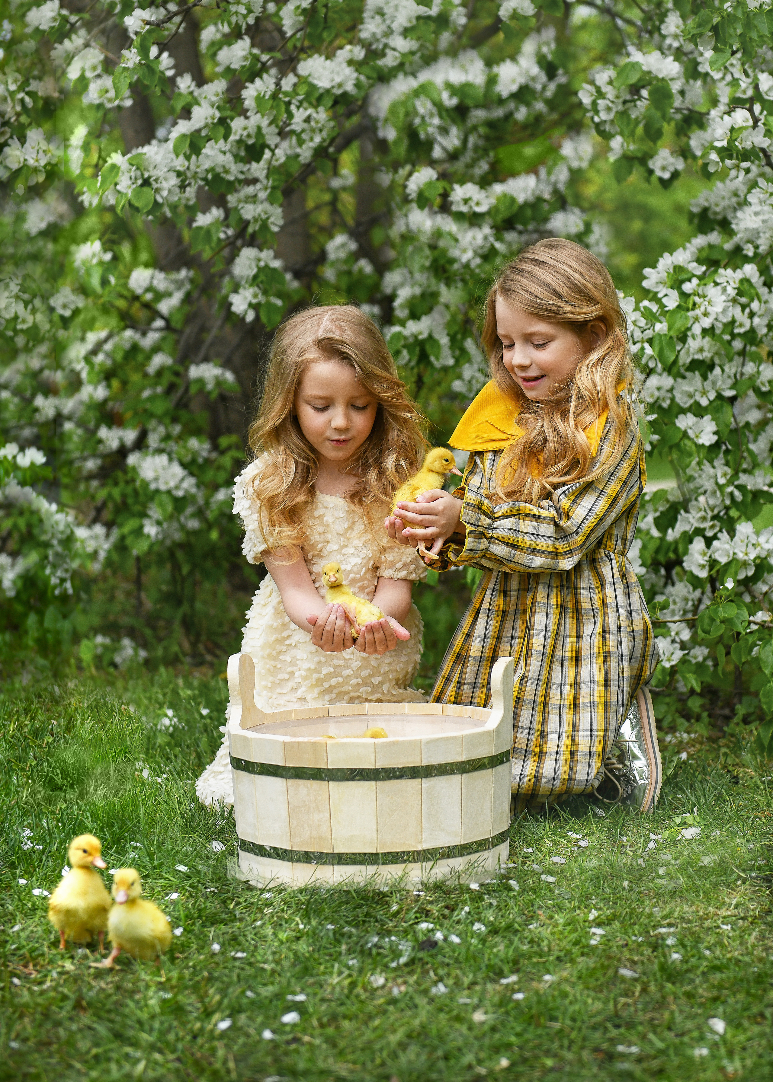 Утята. Парк «Музеон», Москва. Портретный и контент фотограф в Воронеже Елена Николайчик