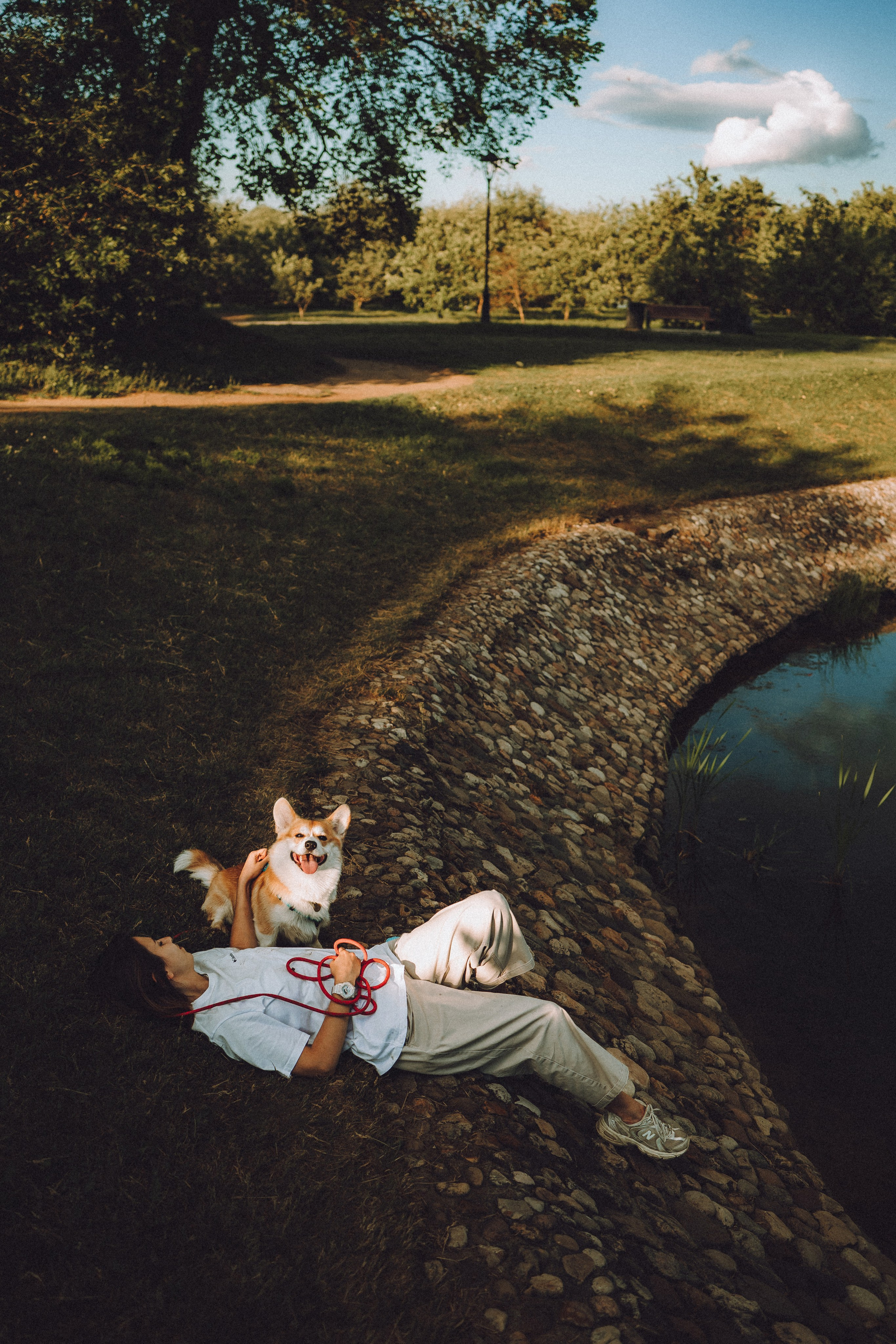 Вирджик и его семья