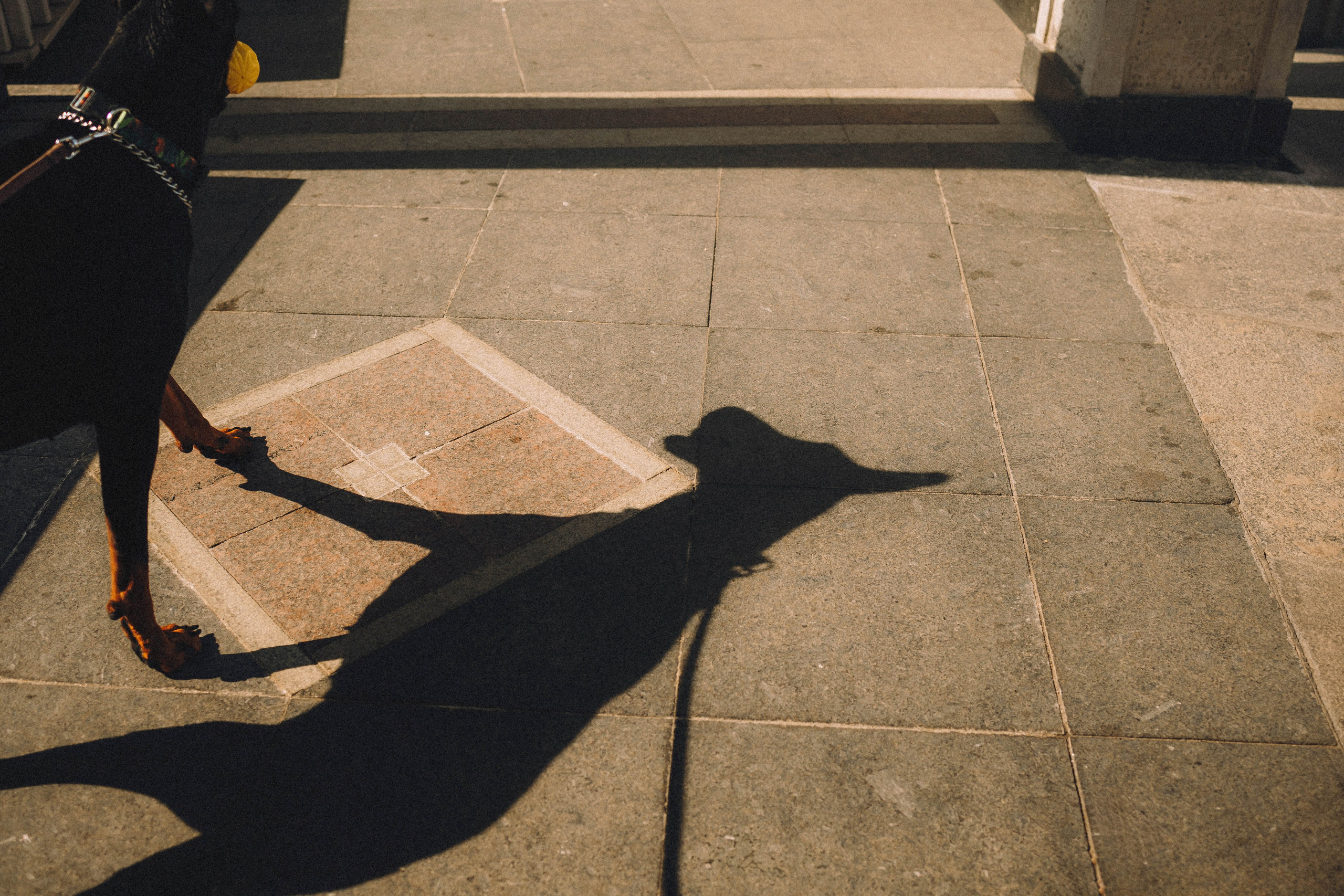 Паша и Хайди