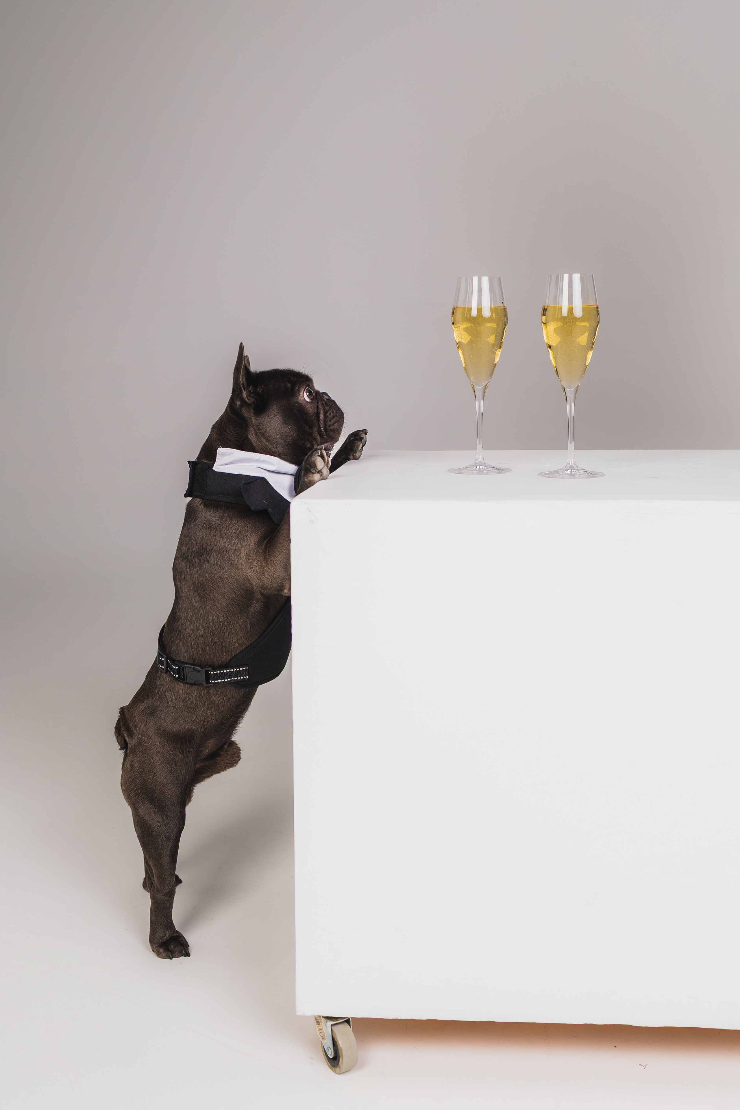 Кристина и Счастье