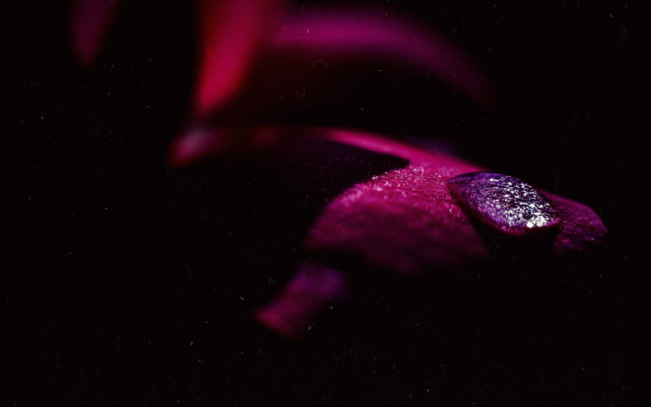 N a t u r e. Your photographer