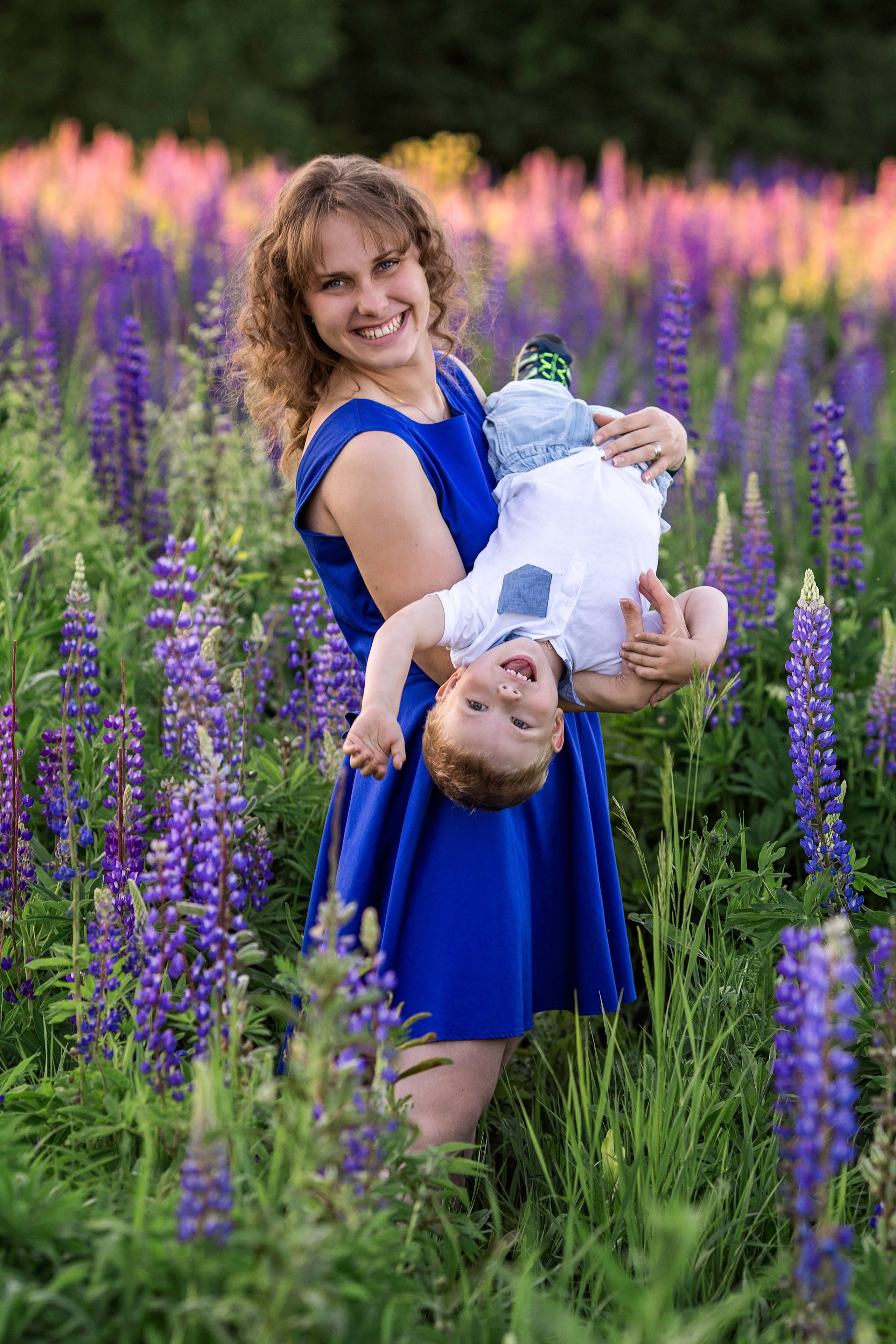 Индивидуальная фотосессия в люпинах (Анна). Главная