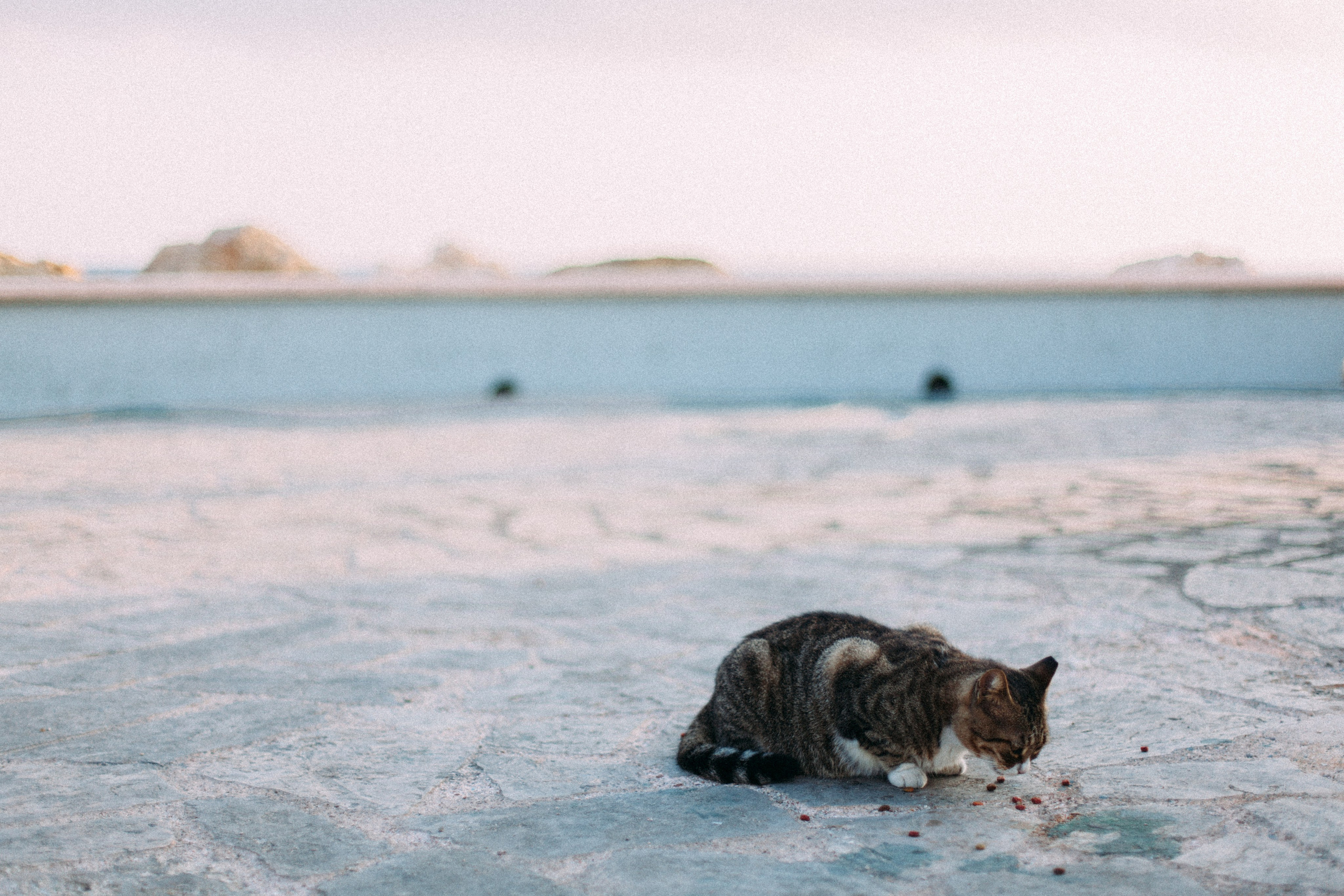 Кипр. Аня Степанова