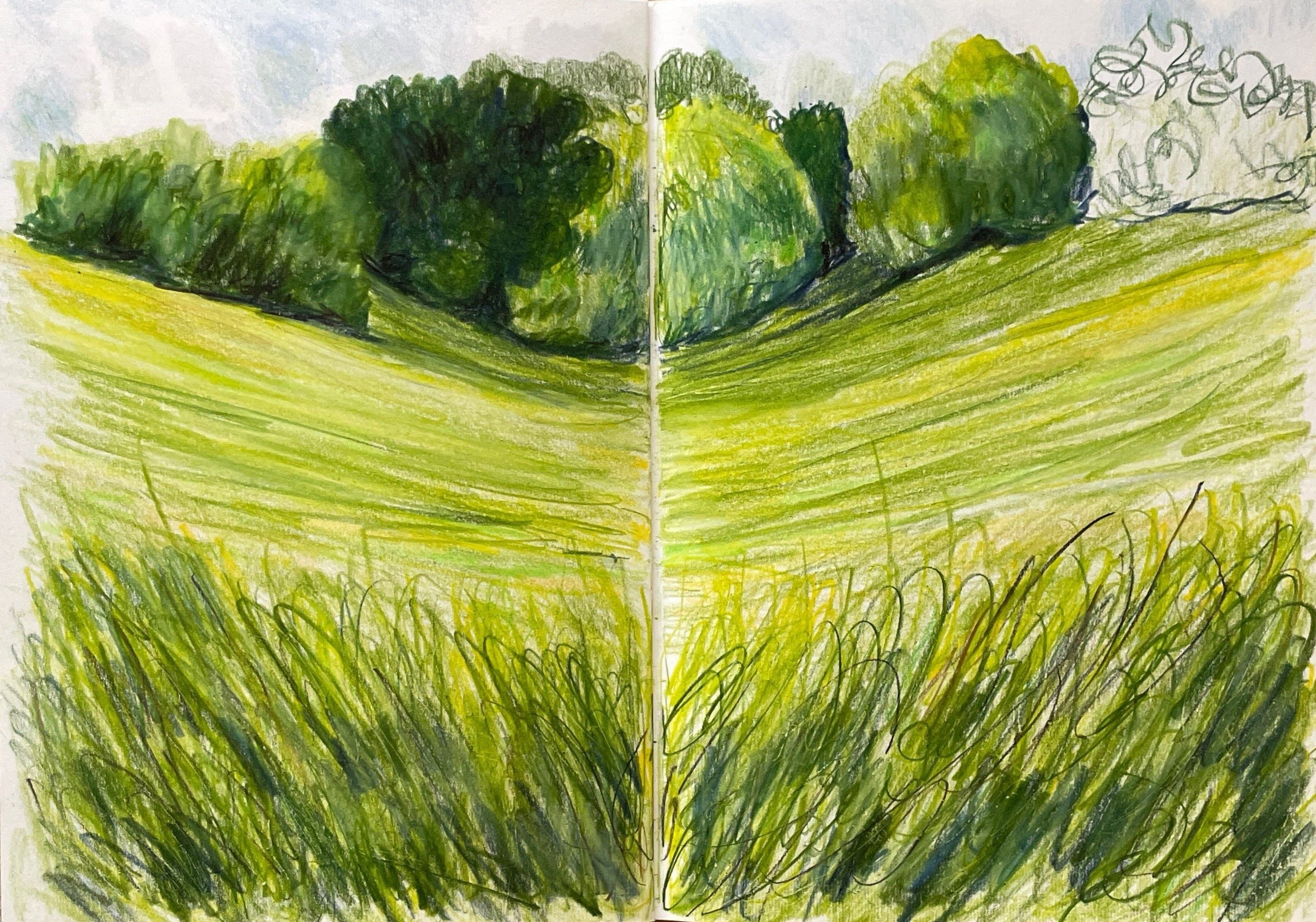 Карандаши. Аня Степанова