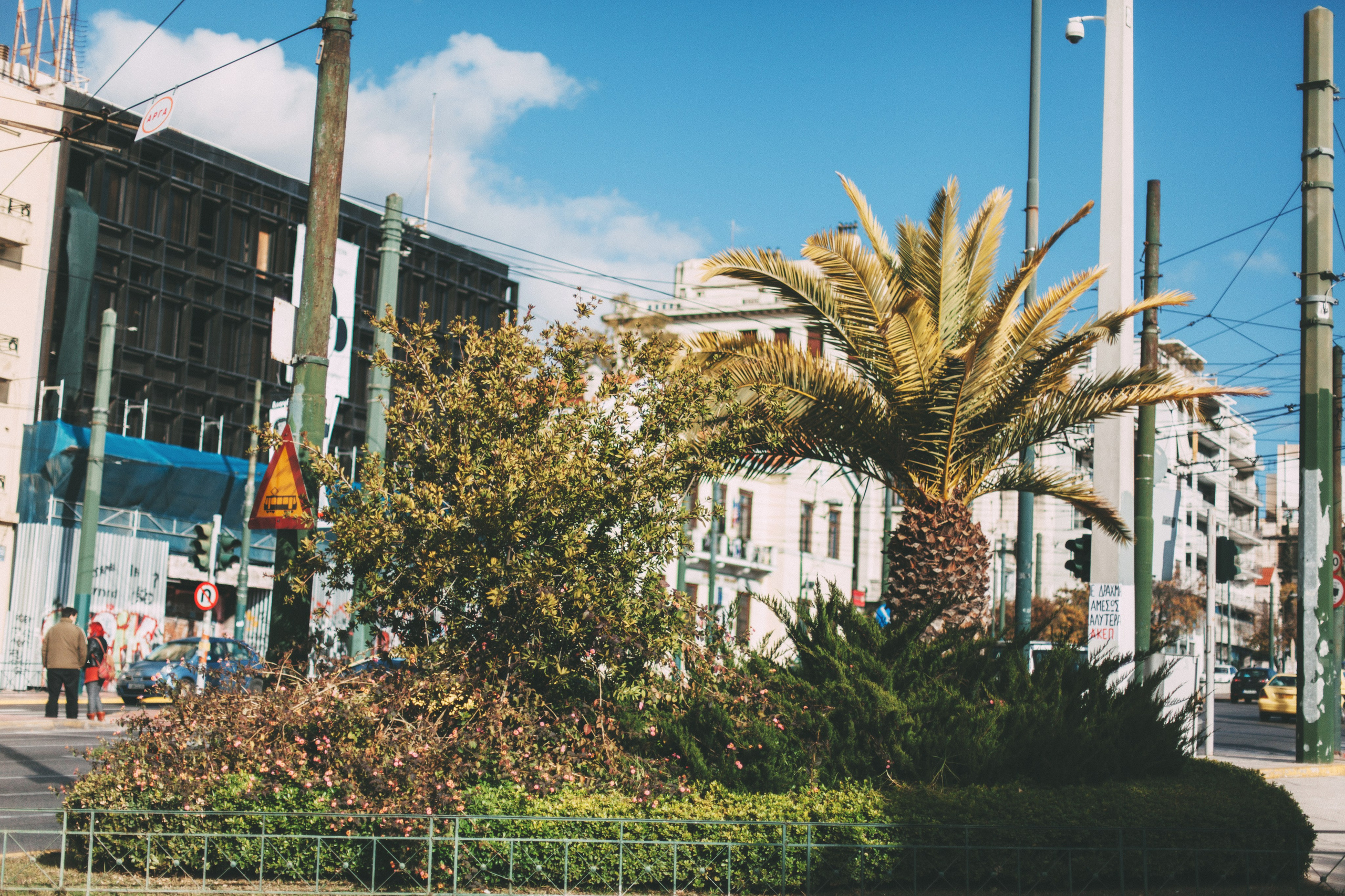 Афины. Аня Степанова