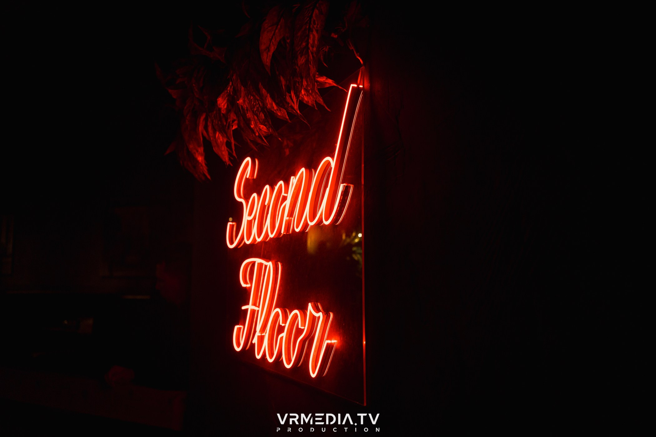 Бумажный дом в баре «Друзья»