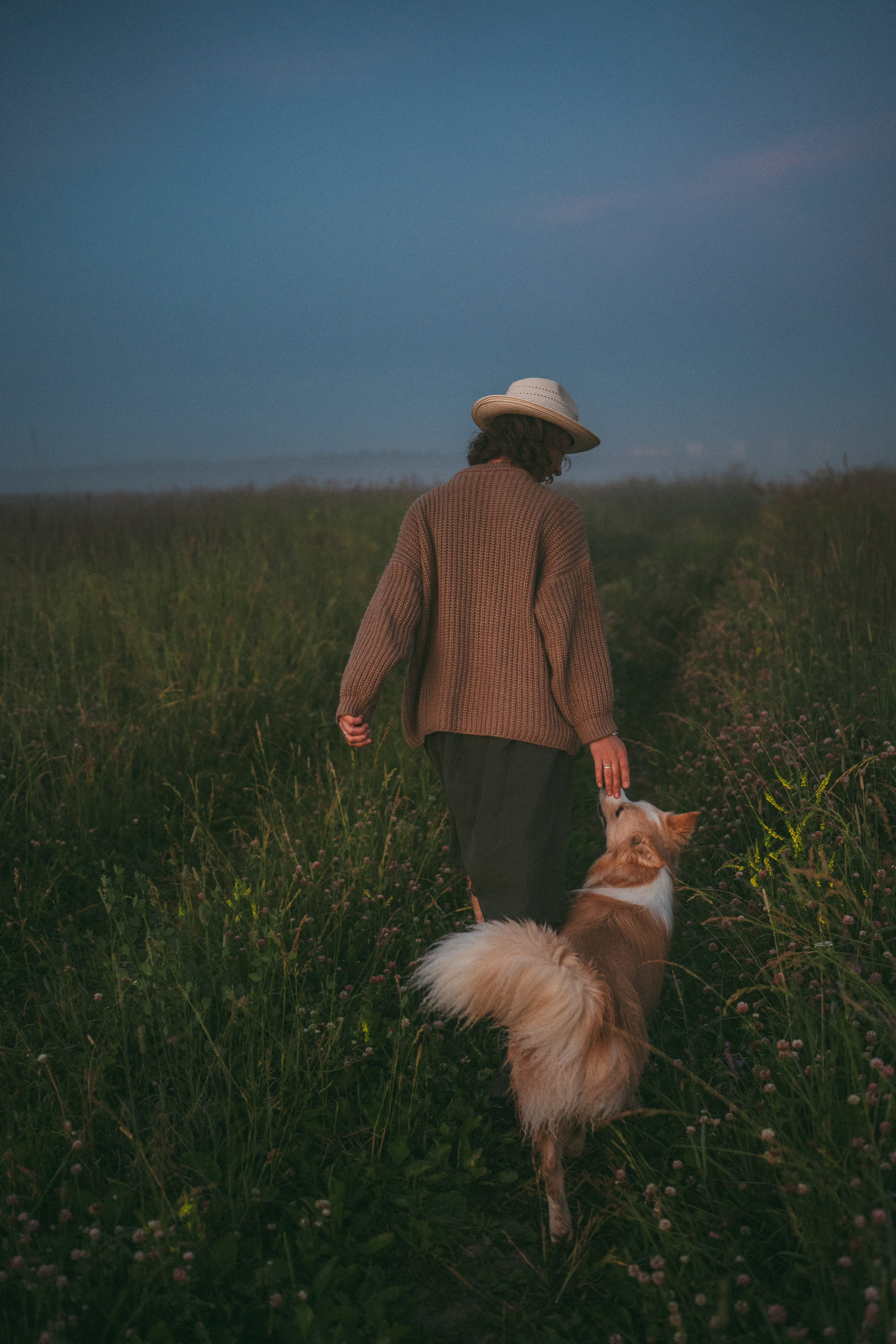 Рина и Марси. Фотограф анималист в Москве и Санкт-Петербурге Свиридова Анна