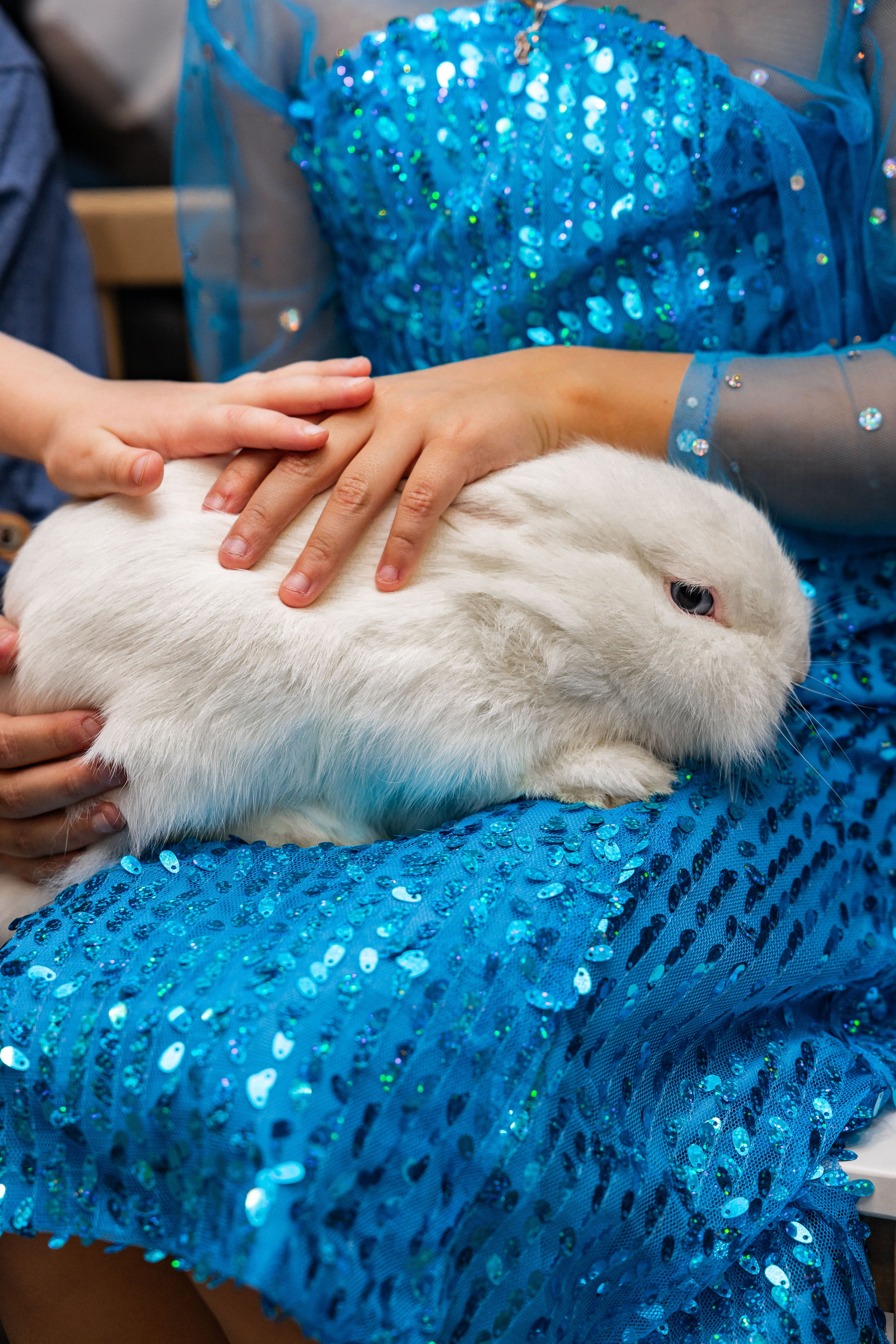 Happy Team. Фотограф/видеограф в Санкт-Петербурге Динара Гольдина