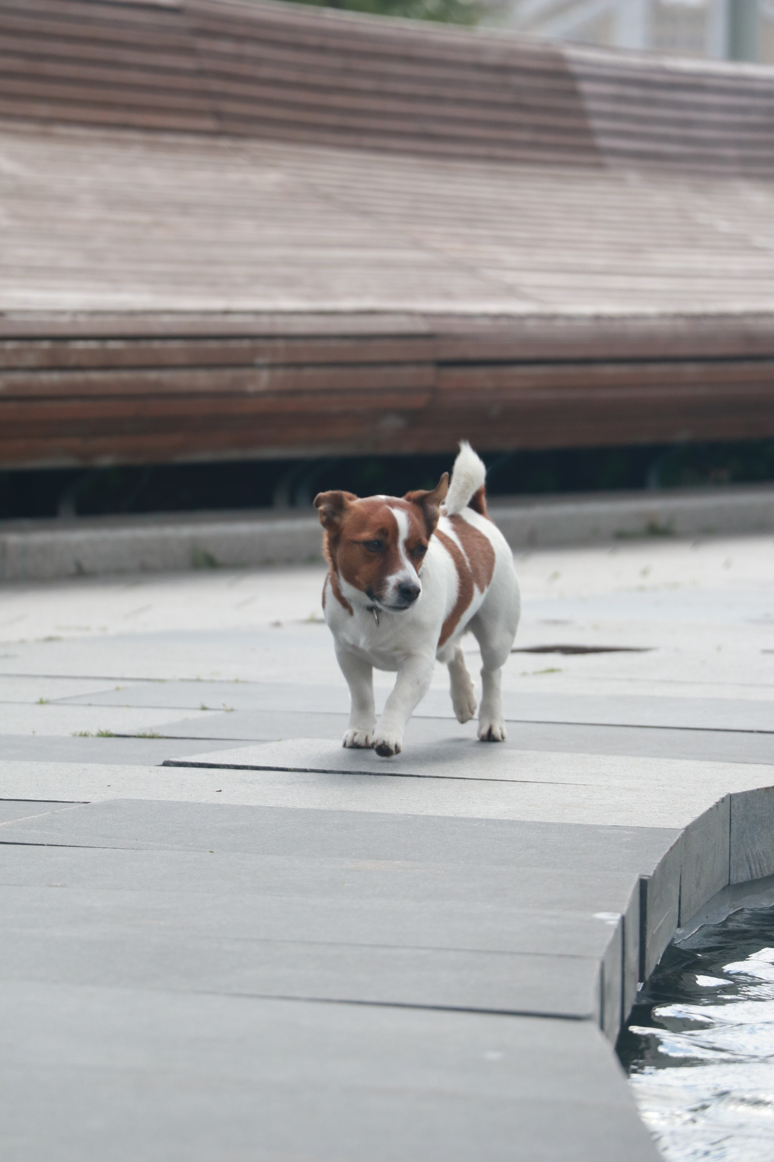 Ulia. Varvara cohen photographer