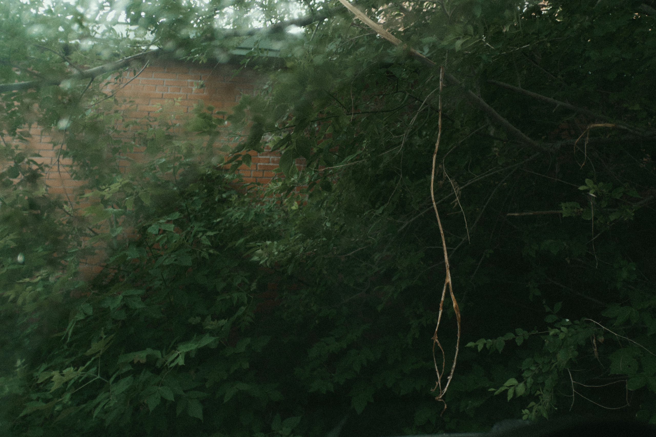 Наблюдения. Семейный фотограф в Новосибирске Артём Кузнецов