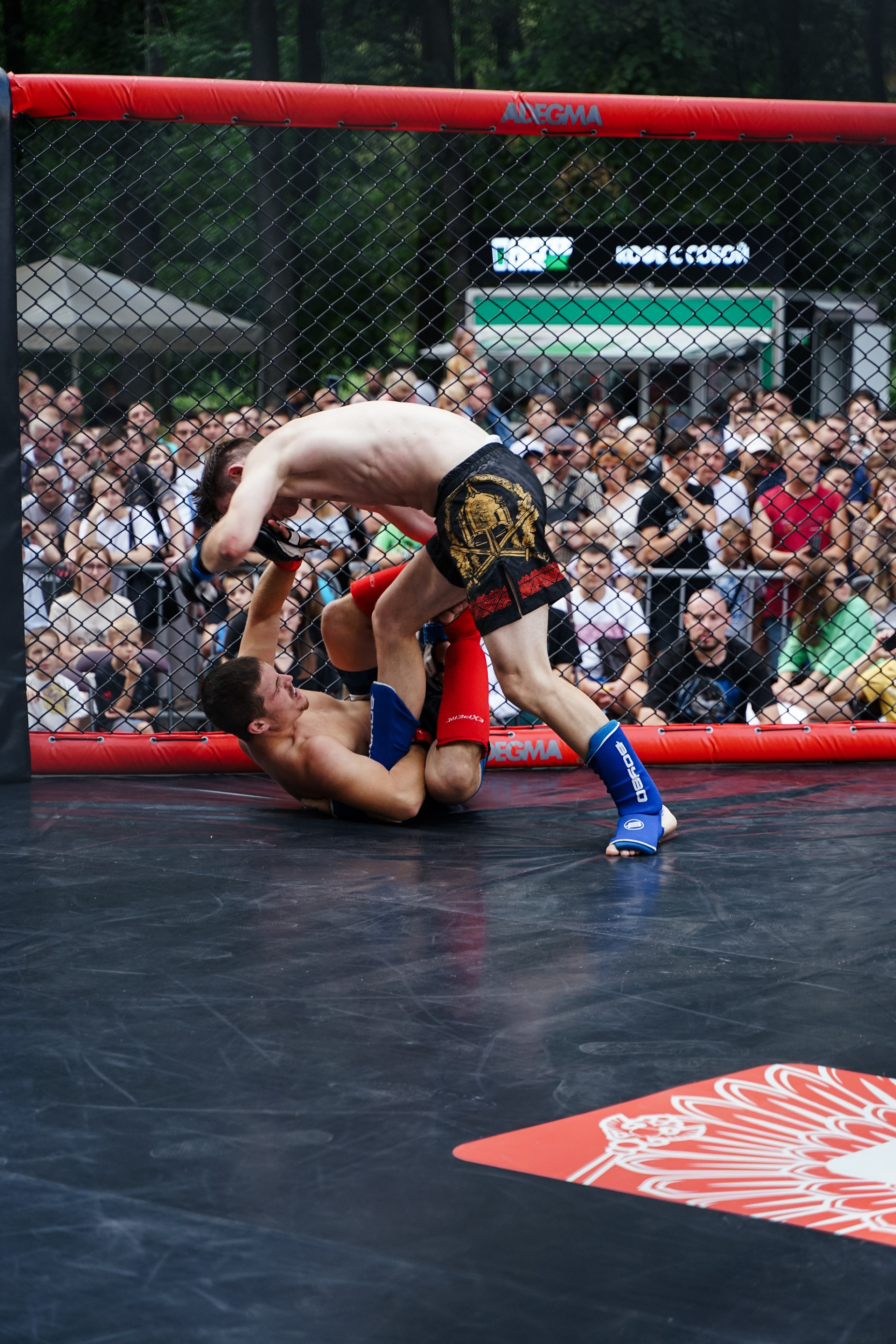 Вечер боев в ЦПКиО. Фотограф Надежда Погребняк | Рязань | Москва