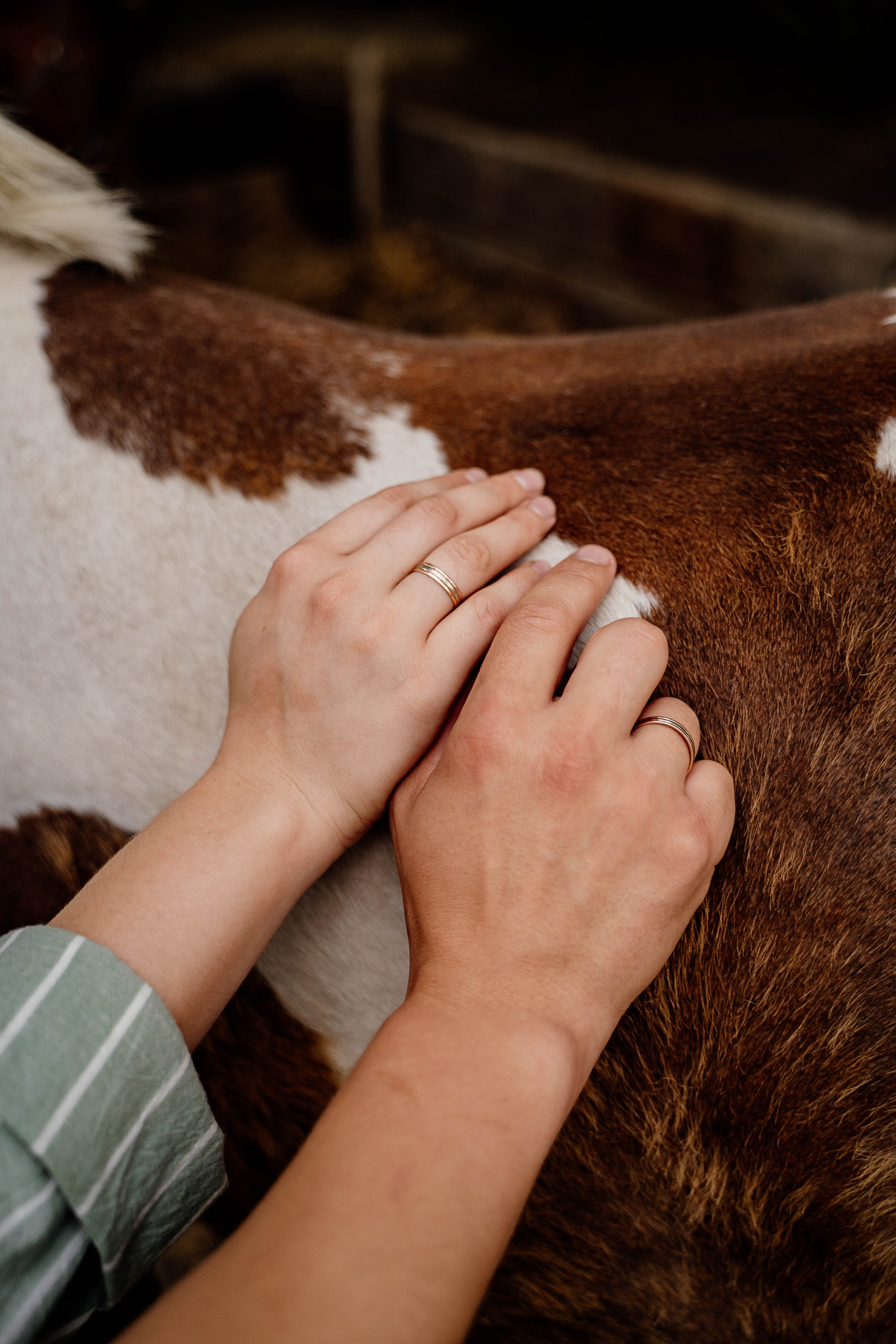Даня и Лера на Ранчо. Свадебный и семейный фотограф