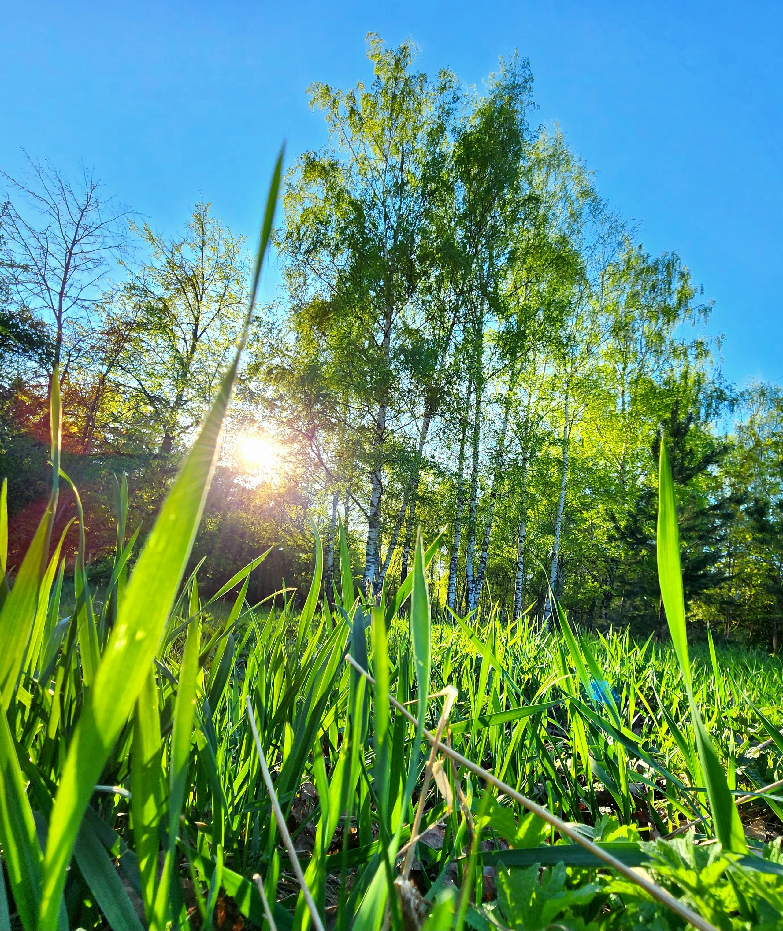 Репортажный фотограф Константинов Сергей