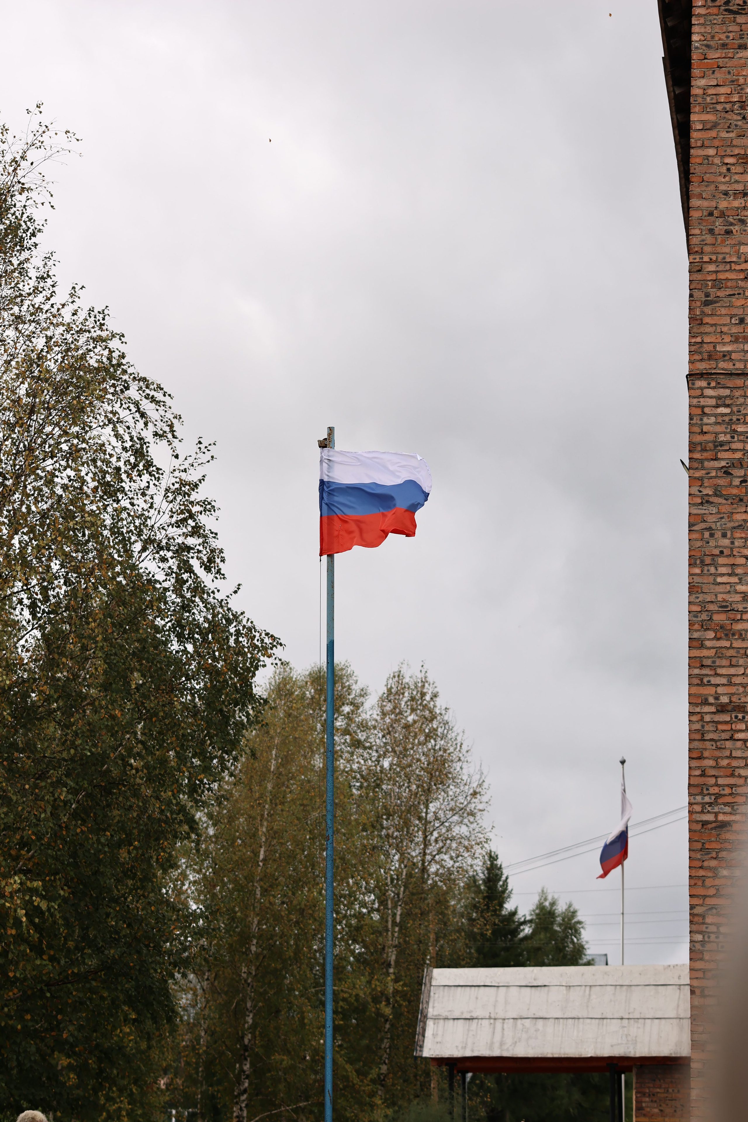 1 сентября. Родная школа. Фотограф портретист в Санкт Петербурге Дроздова Алла