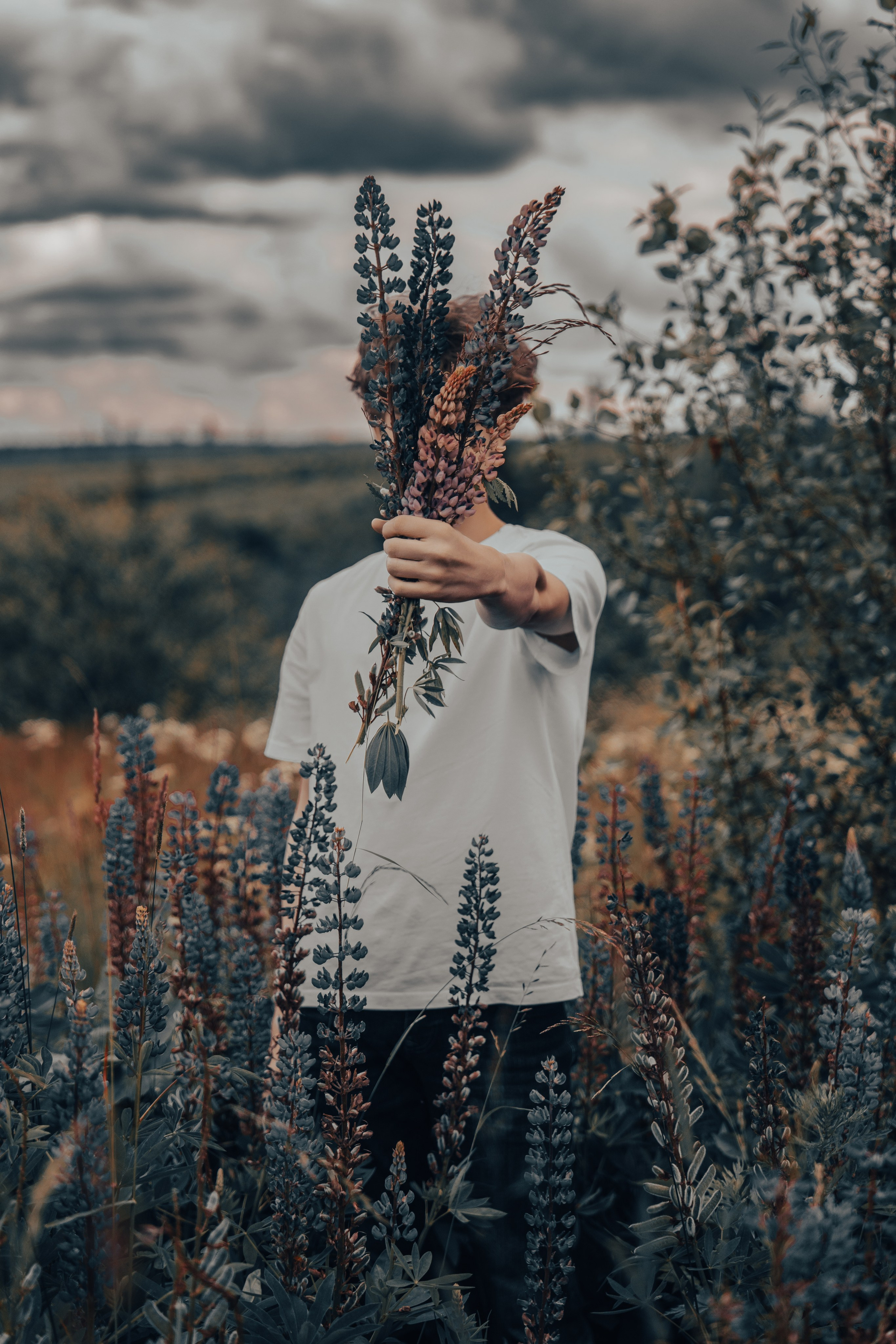 Фотосессия в поле. ТриМедиа Продакшн