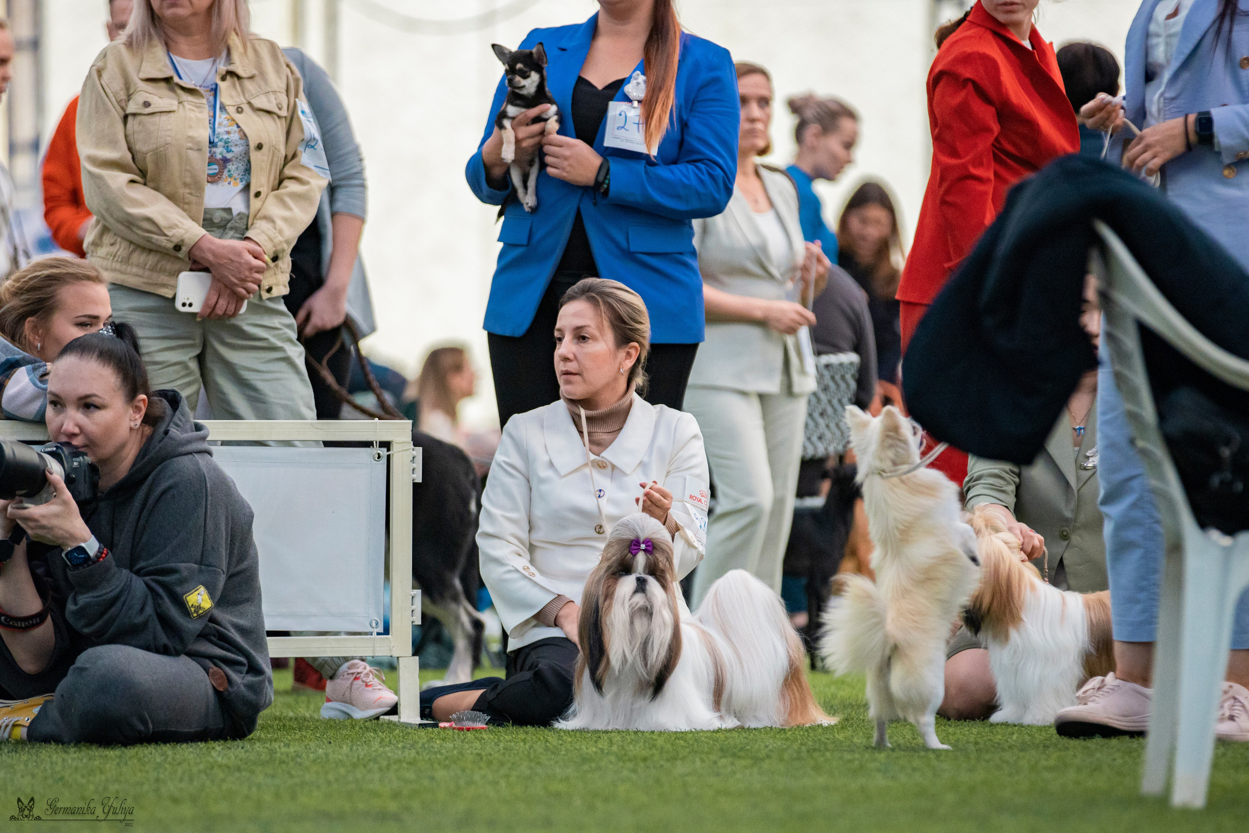 Ташкент 6-8.10.2023 + Алматы 14-15.10.2023. Фотограф-анималист Юлия Германика
