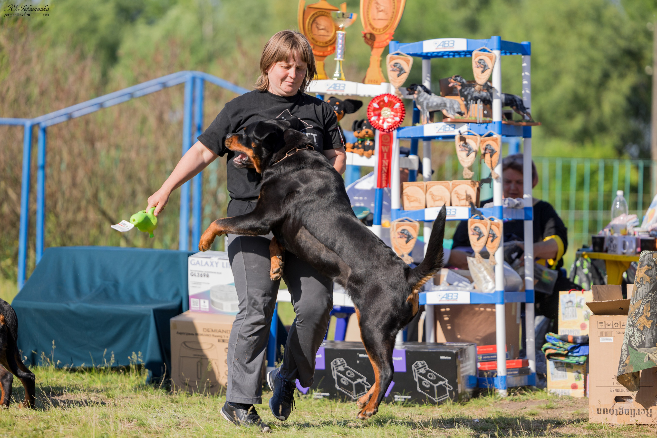 Воронеж моно ротвейлеров 25-26.05.2024. Фотограф-анималист Юлия Германика