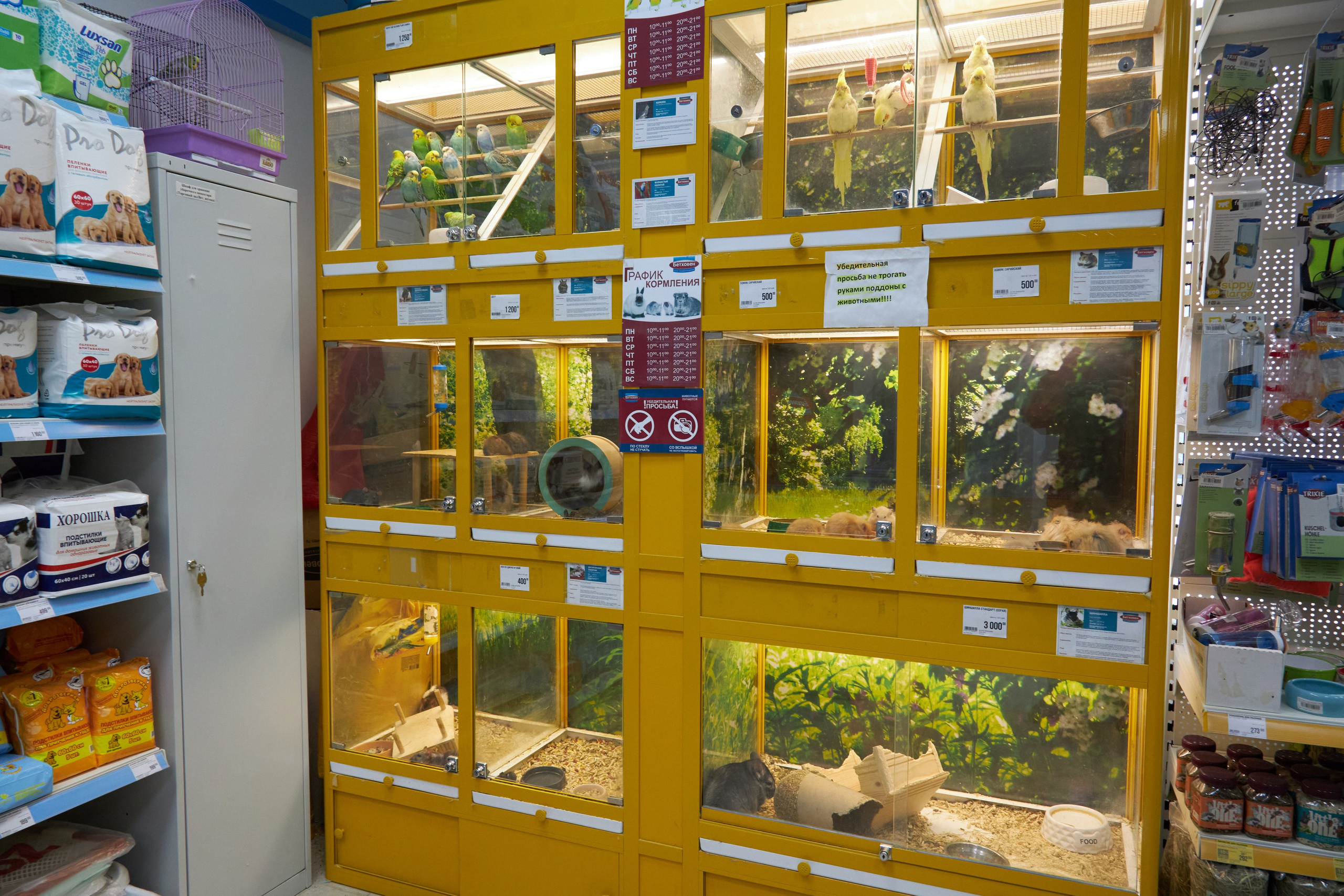 Магазин товаров для животных «Бетховен». Фотограф Сергей Феденко