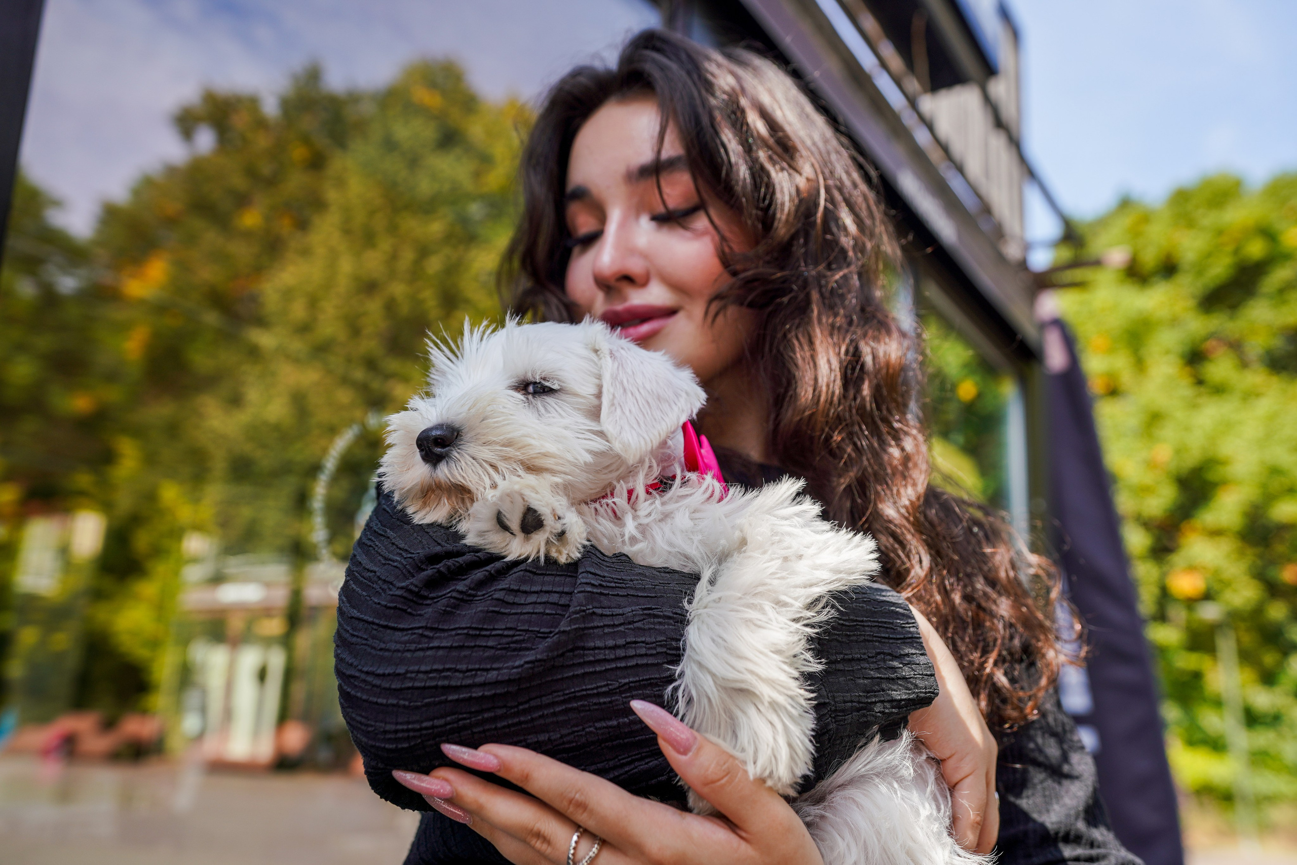 ДР собаки по имени Моррис :). Фотограф Казань