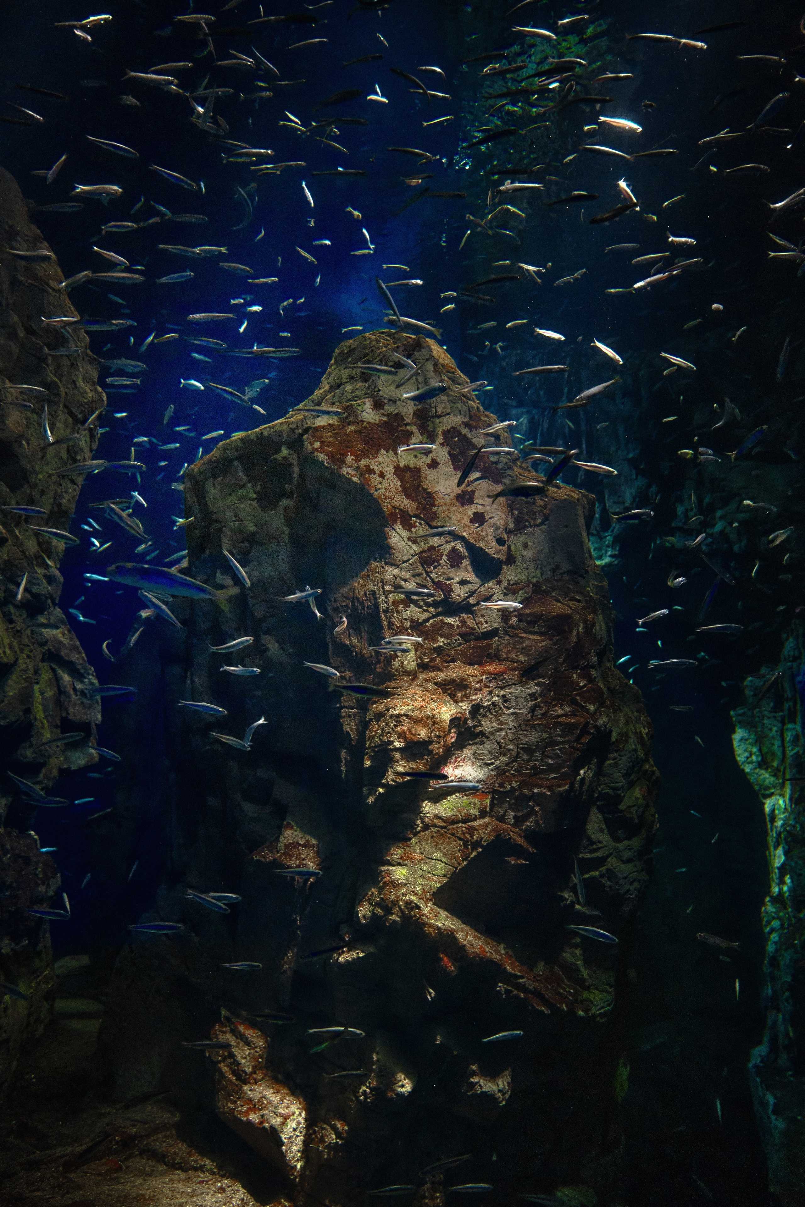 Japan / Osaka≫Kyoto≫Tokyo. Aleksandr Kobtsev