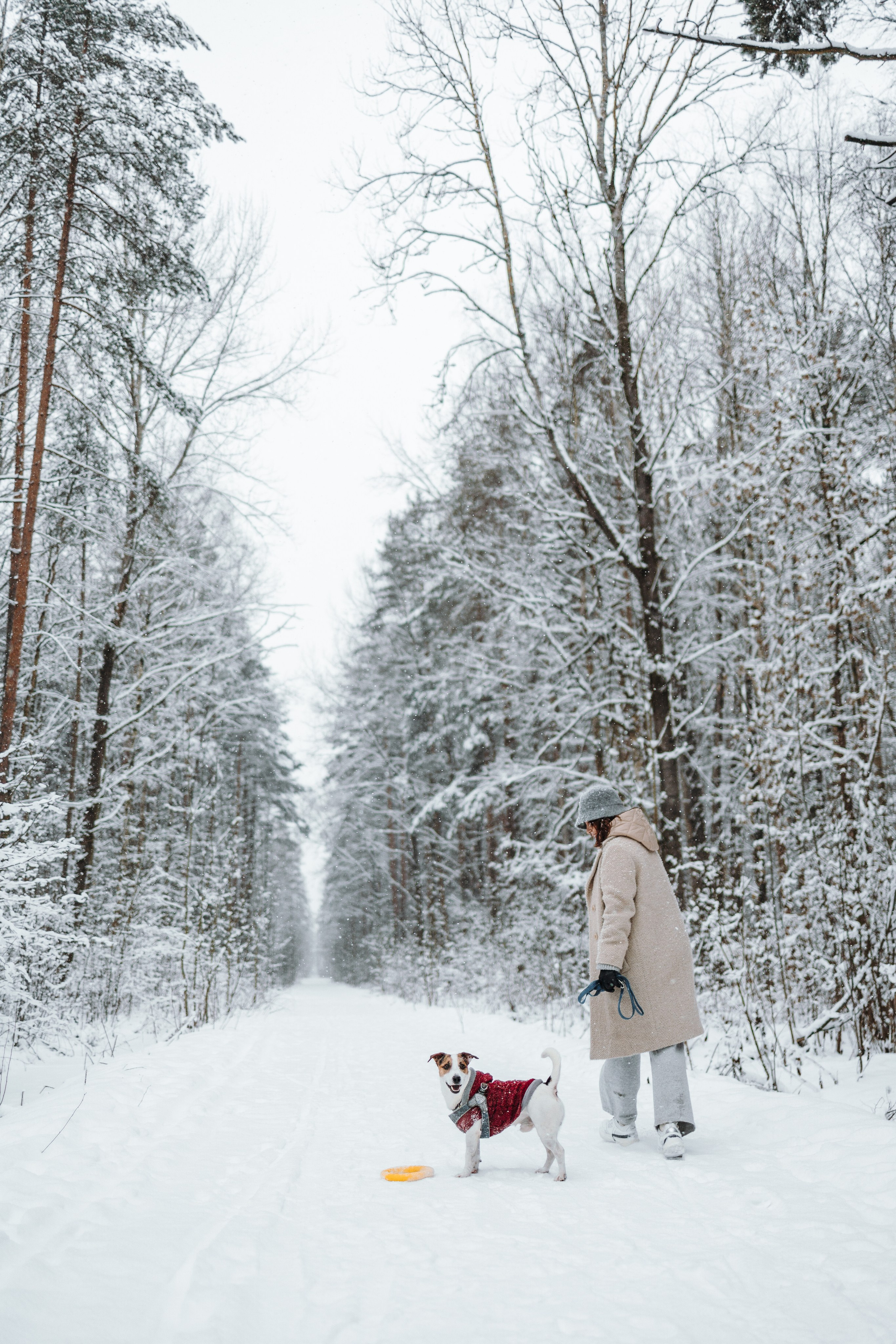 Наталья и Микки. Фотограф — Анималист | Санкт-Петербург