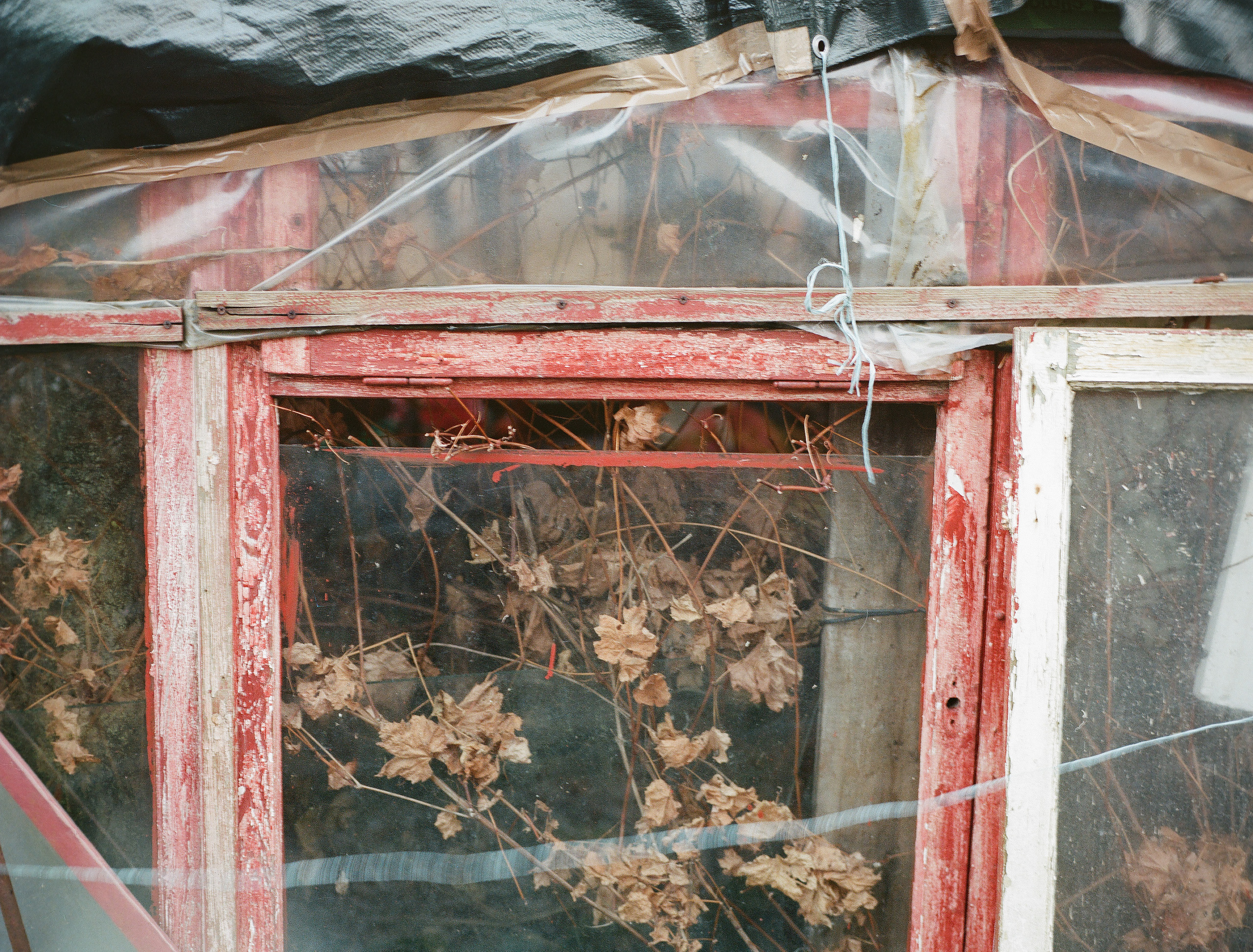 Floating numbness. Photographer, Documentary and Art