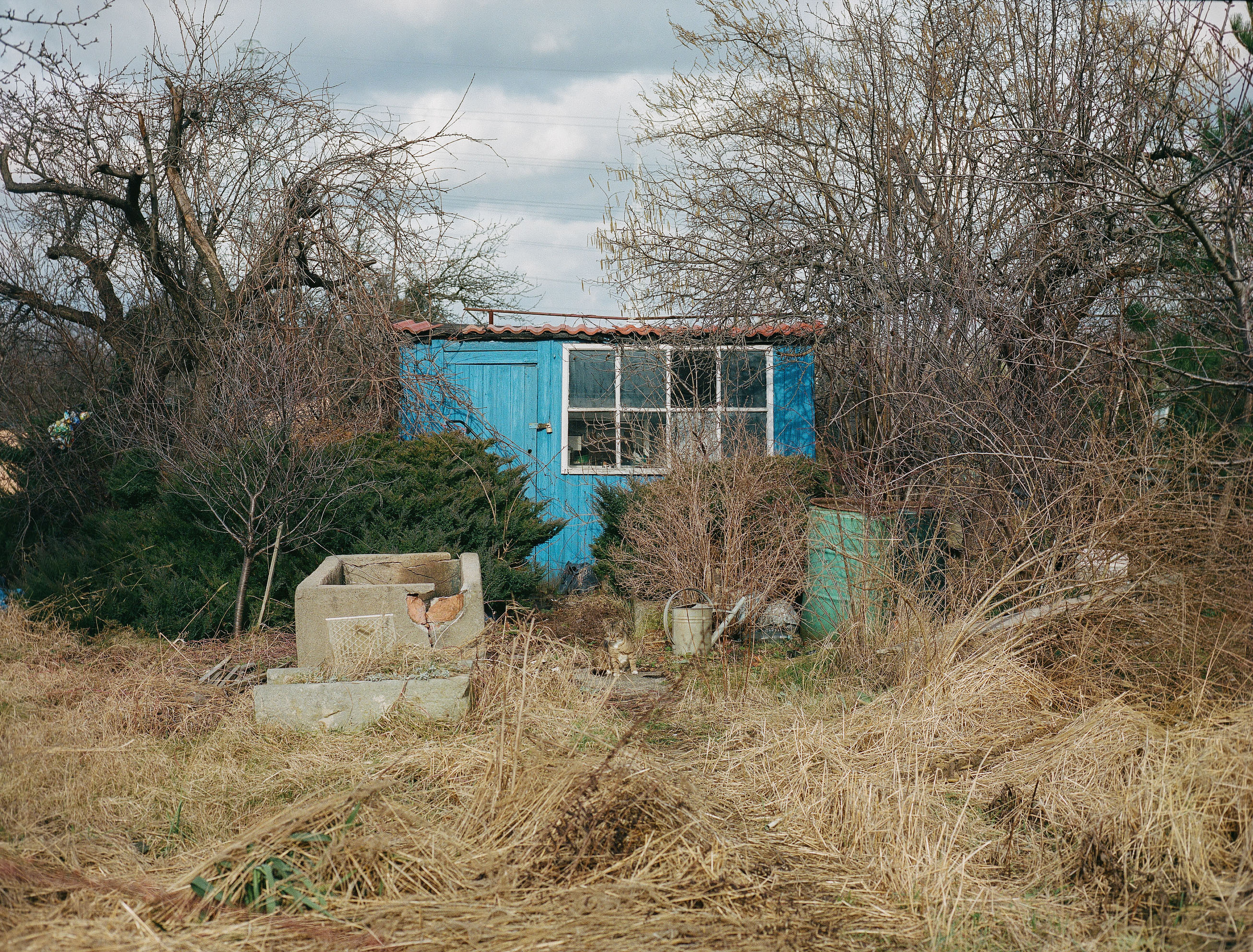 Floating numbness. Photographer, Documentary and Art