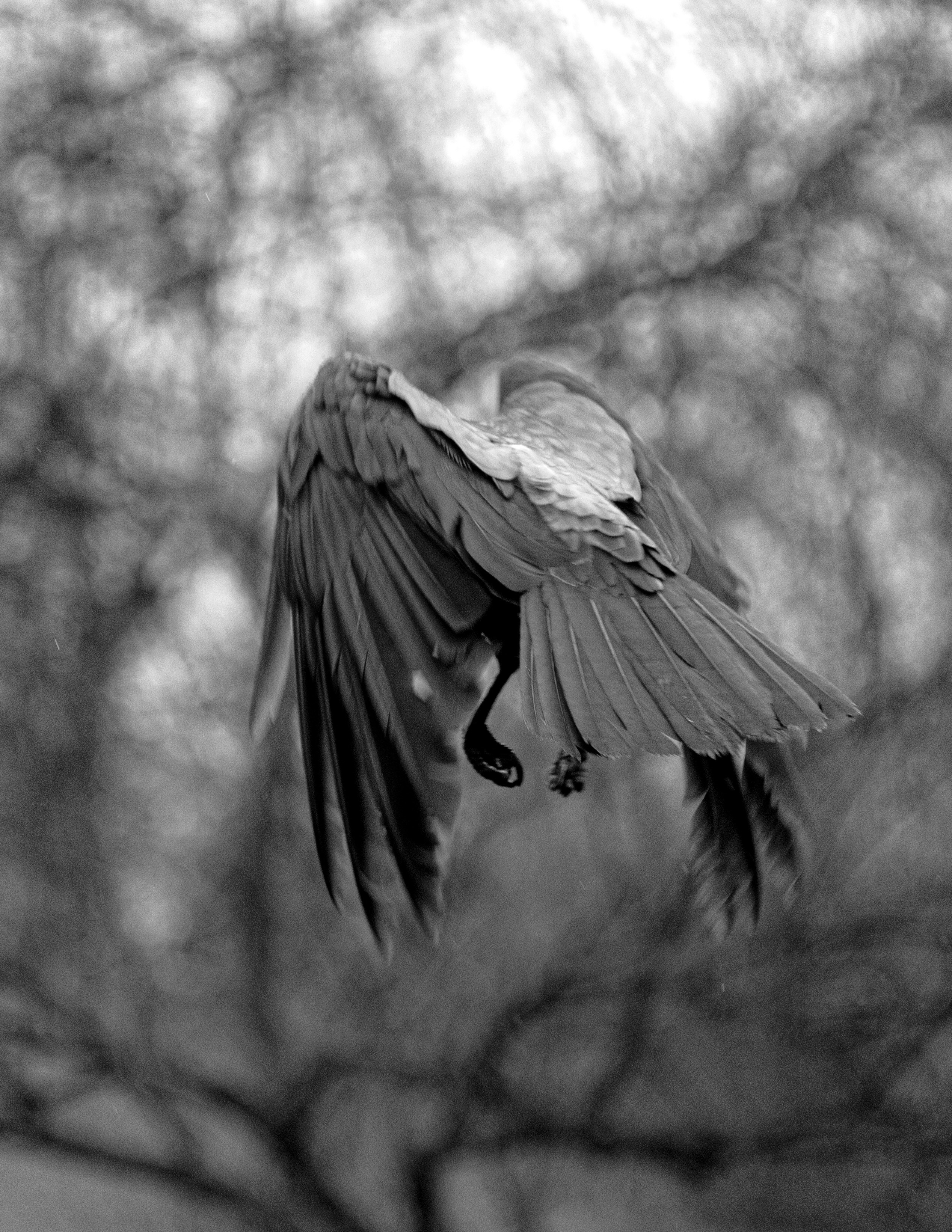 Floating numbness. Photographer, Documentary and Art