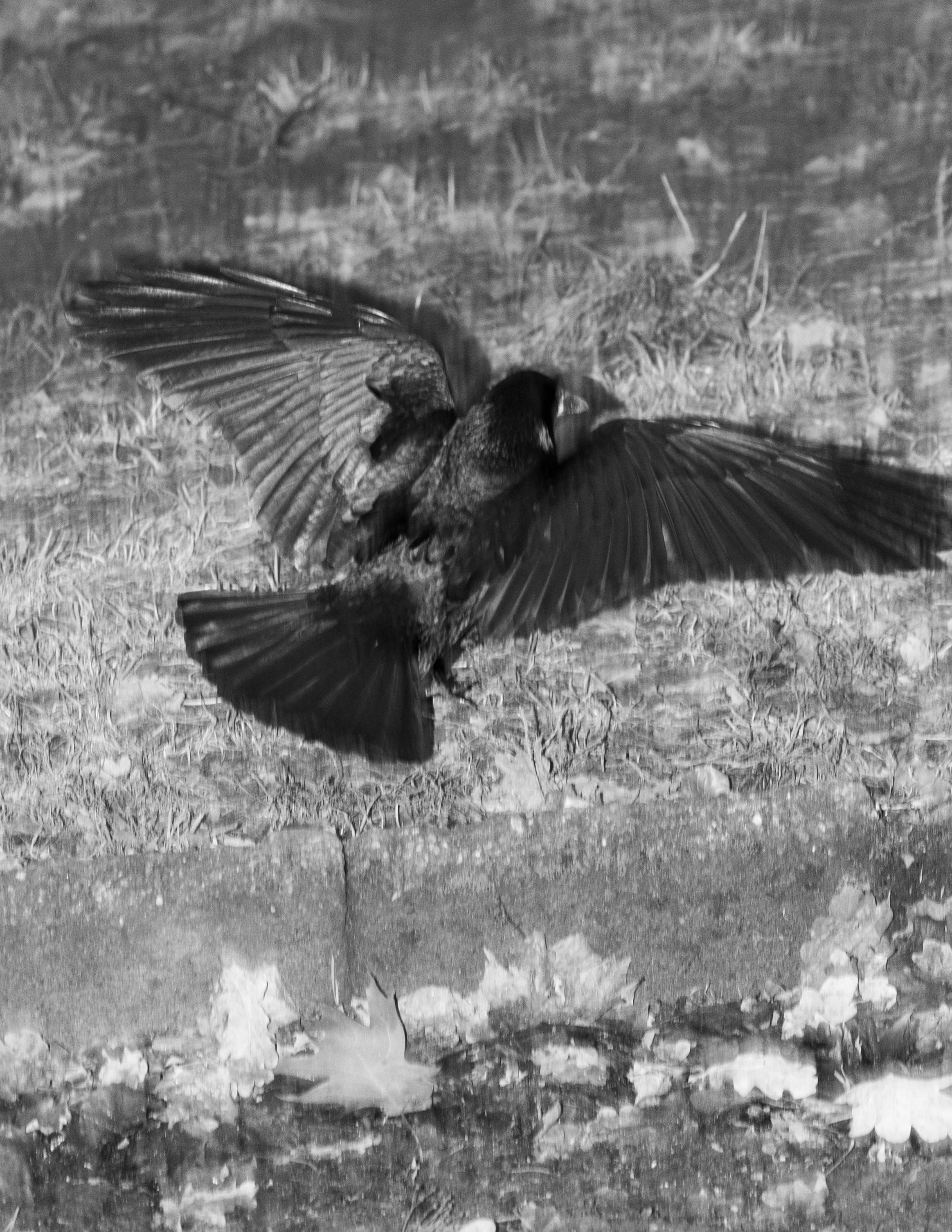 Floating numbness. Photographer, Documentary and Art