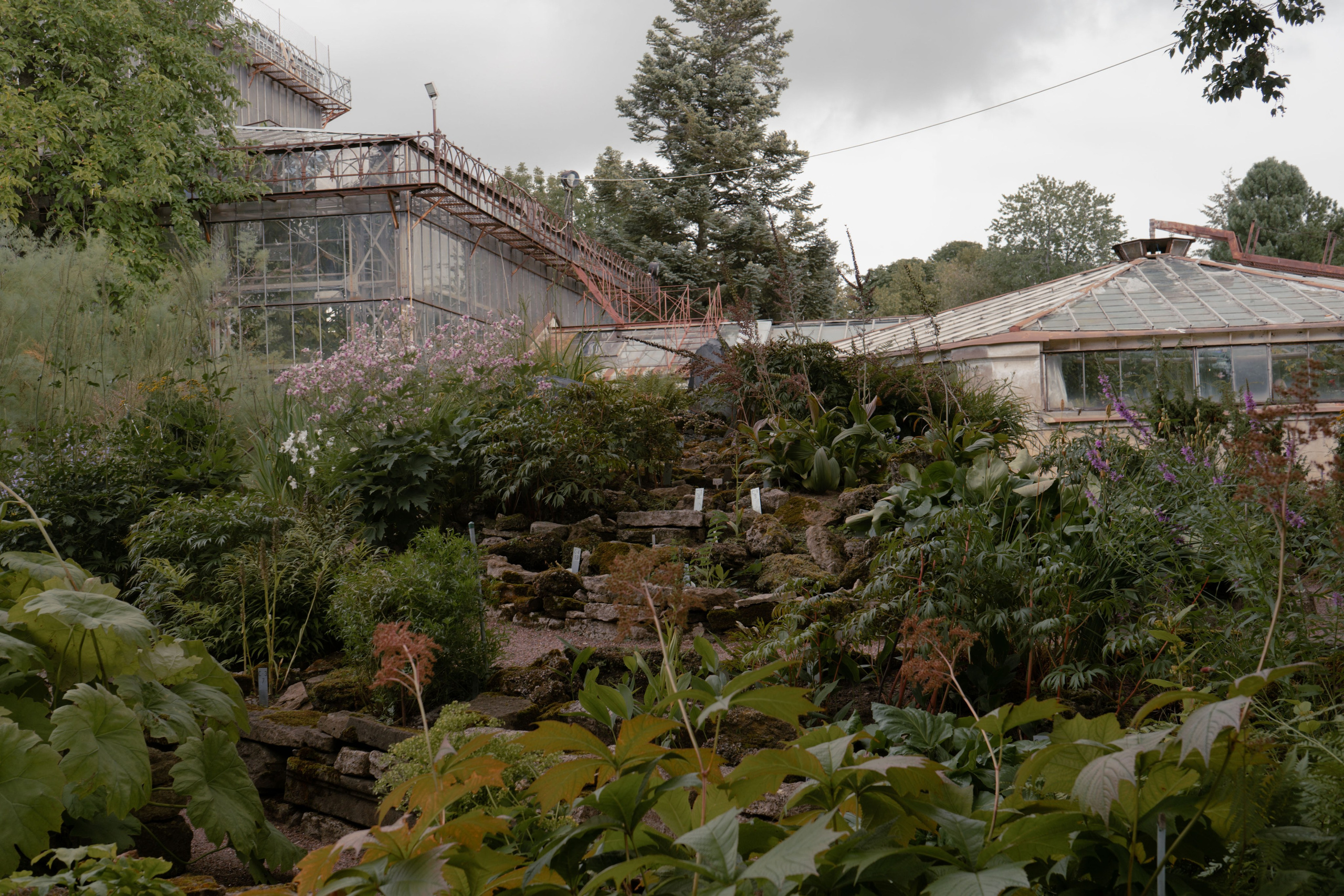 Бэкстейдж фотосессии подопечных фонда Адвита и их семей. Юля Мурашова портретный и документальный фотограф