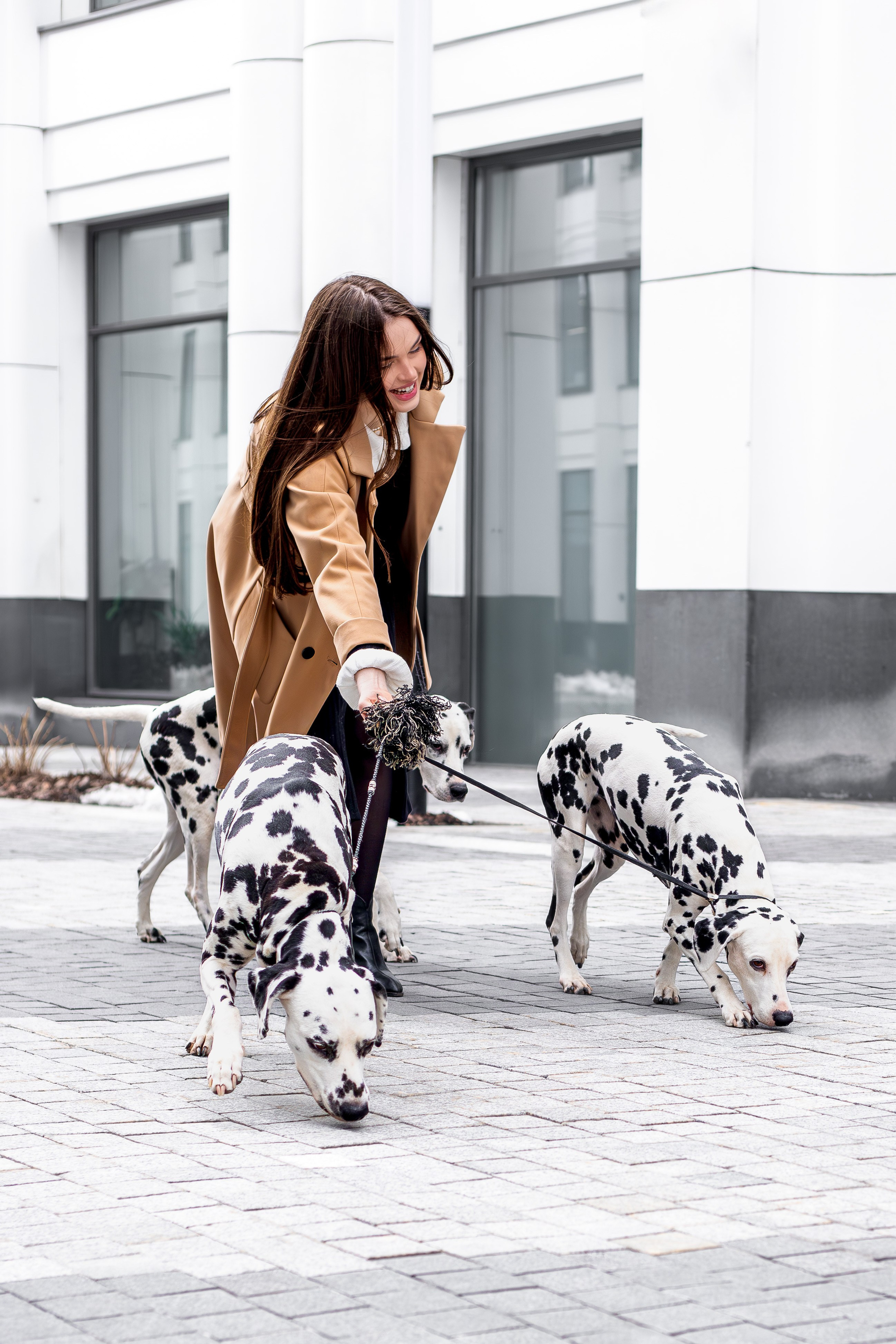 Альбомы стилизованных фотосессий и съёмки с животными. Семейный и свадебный фотограф в Москве и Домодедово Анна Авилочкина