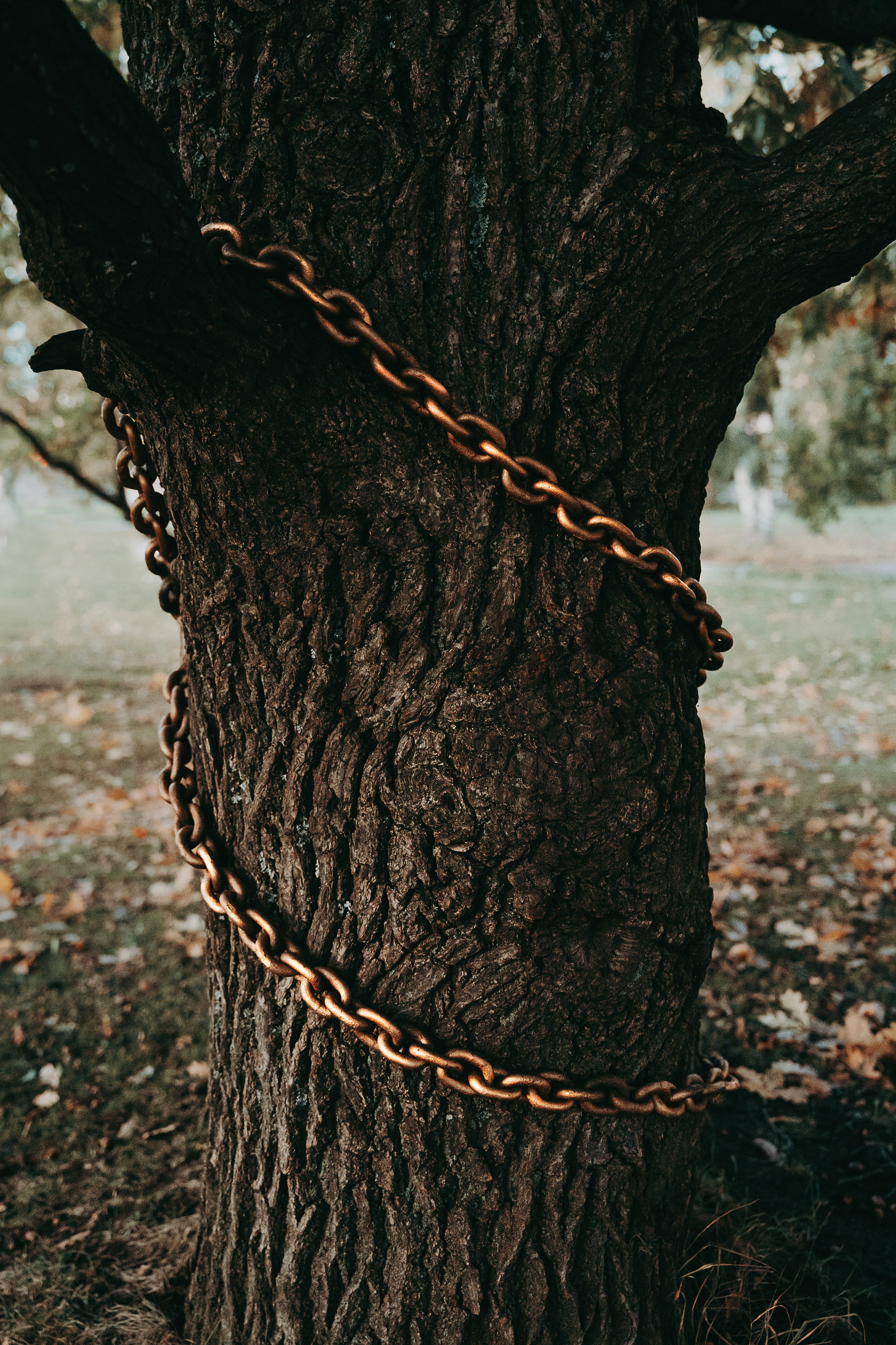 Художественные. Главная