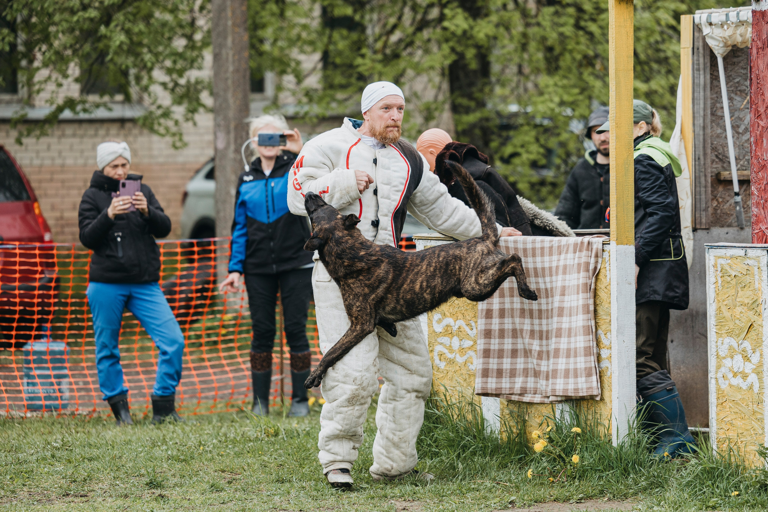 26.05.25 г. Пушкин квалификационные соревнования. Фотограф-анималист Анна Маринич