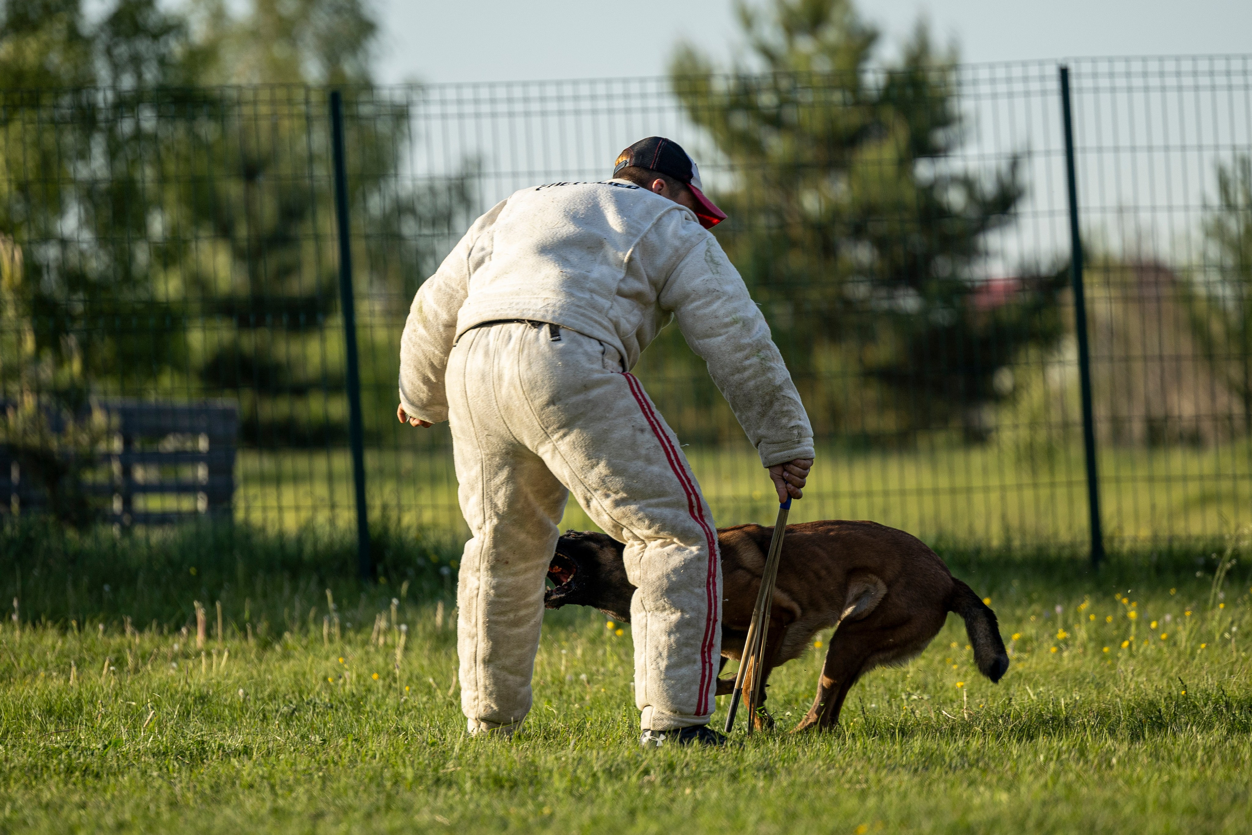 Испытания по мондьорингу в Нижнем Новгороде. Фотограф-анималист Анна Маринич