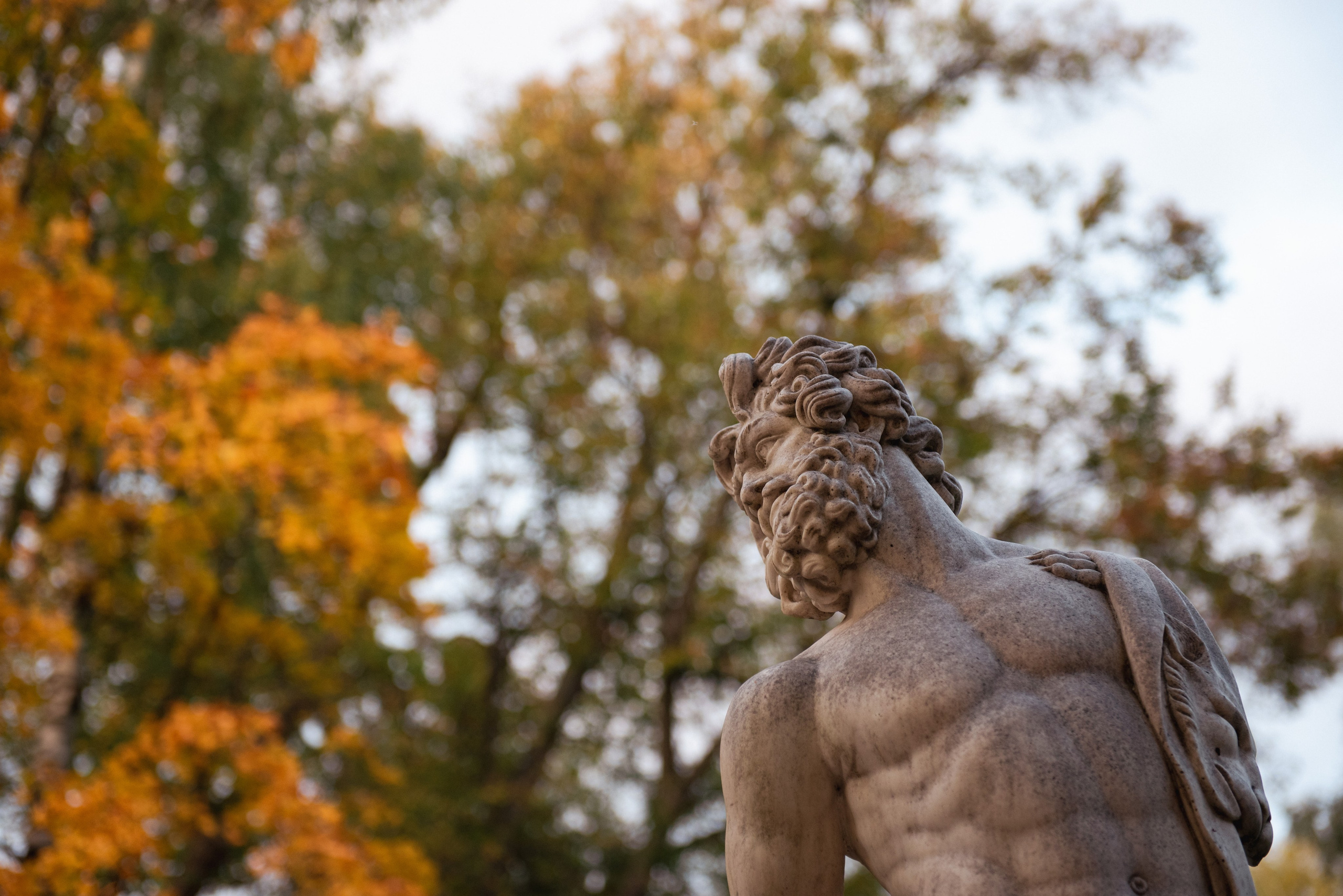 Павловский парк. Портретный и архитектурный фотограф в Москве и Санкт-Петербурге