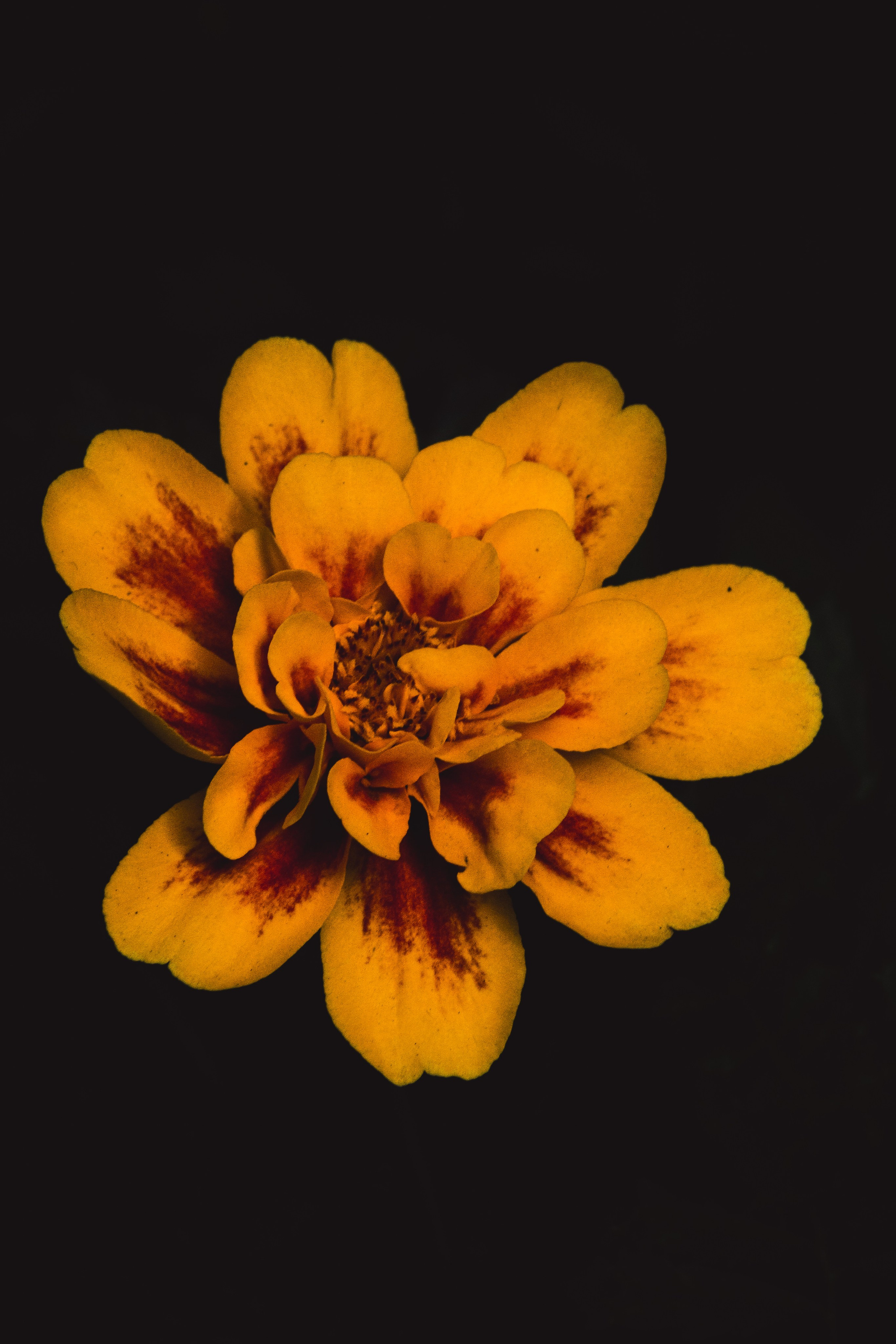 М И Н И М А Л И З М. — Digital Noise —