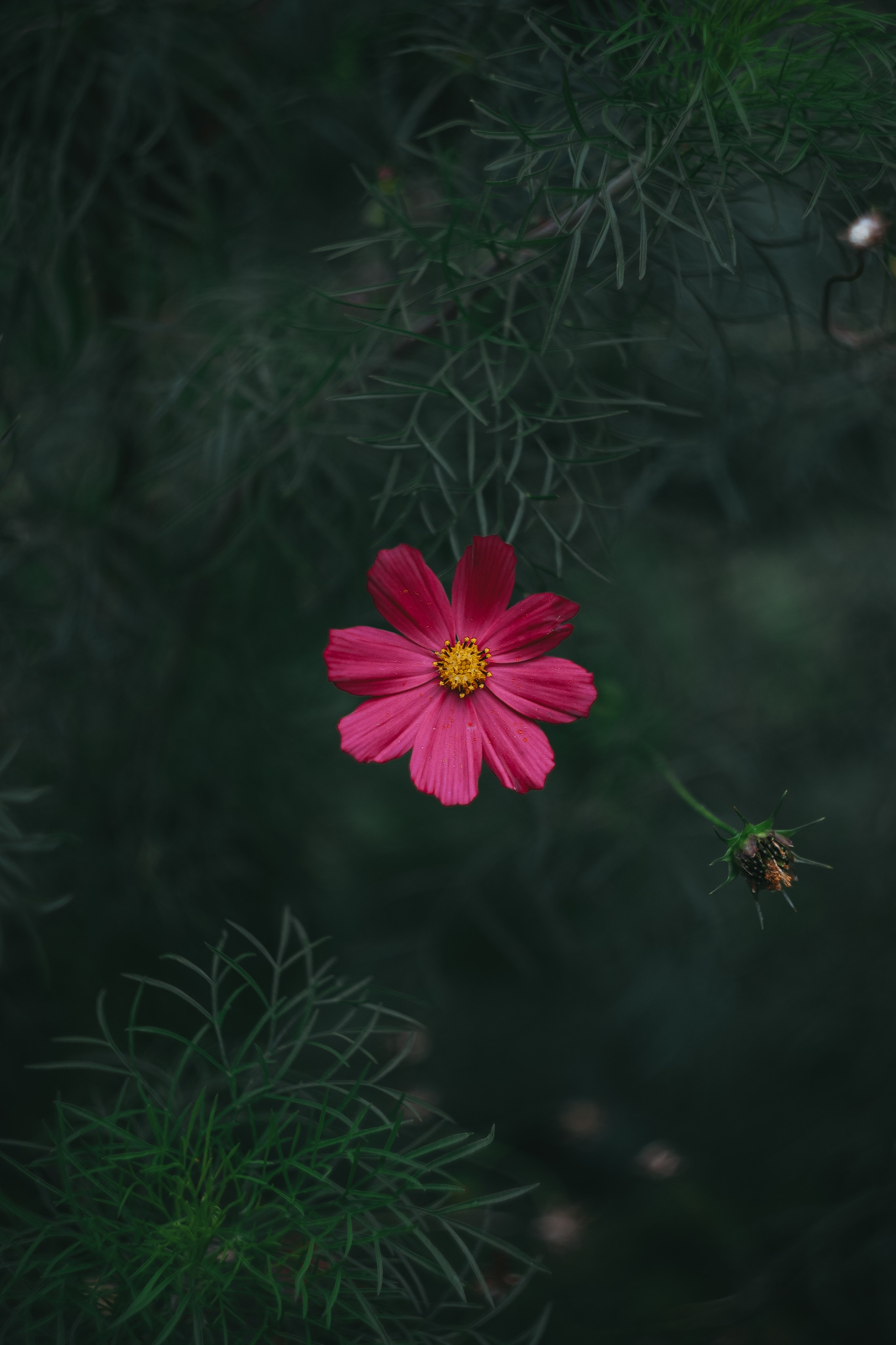 Т Е П Л Ы Й — З Е Л Е Н Ы Й. — Digital Noise —