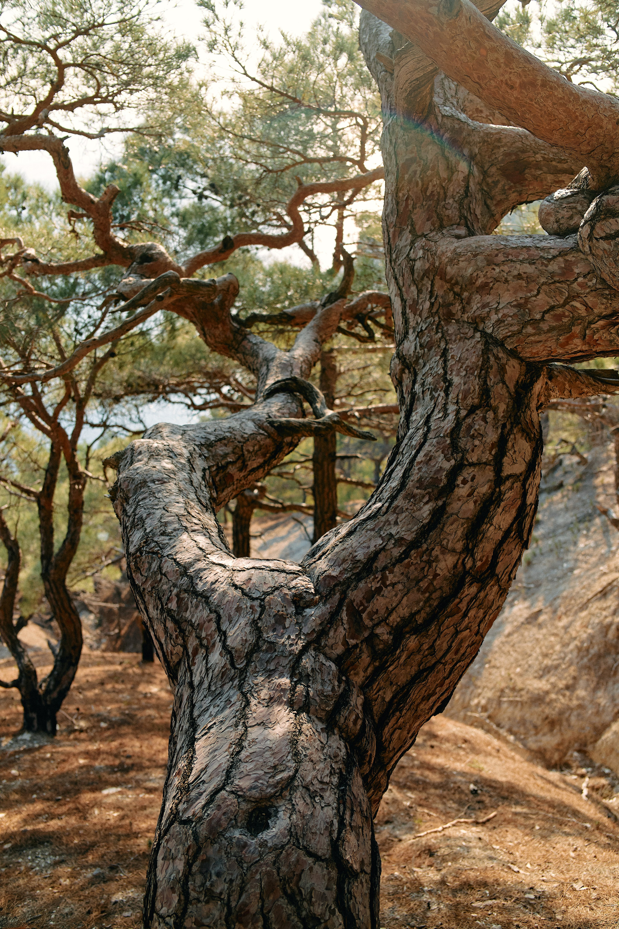 Юг России. Профессиональный Фотограф во Владимире, в Москве и в Суздале — Полина Романычева