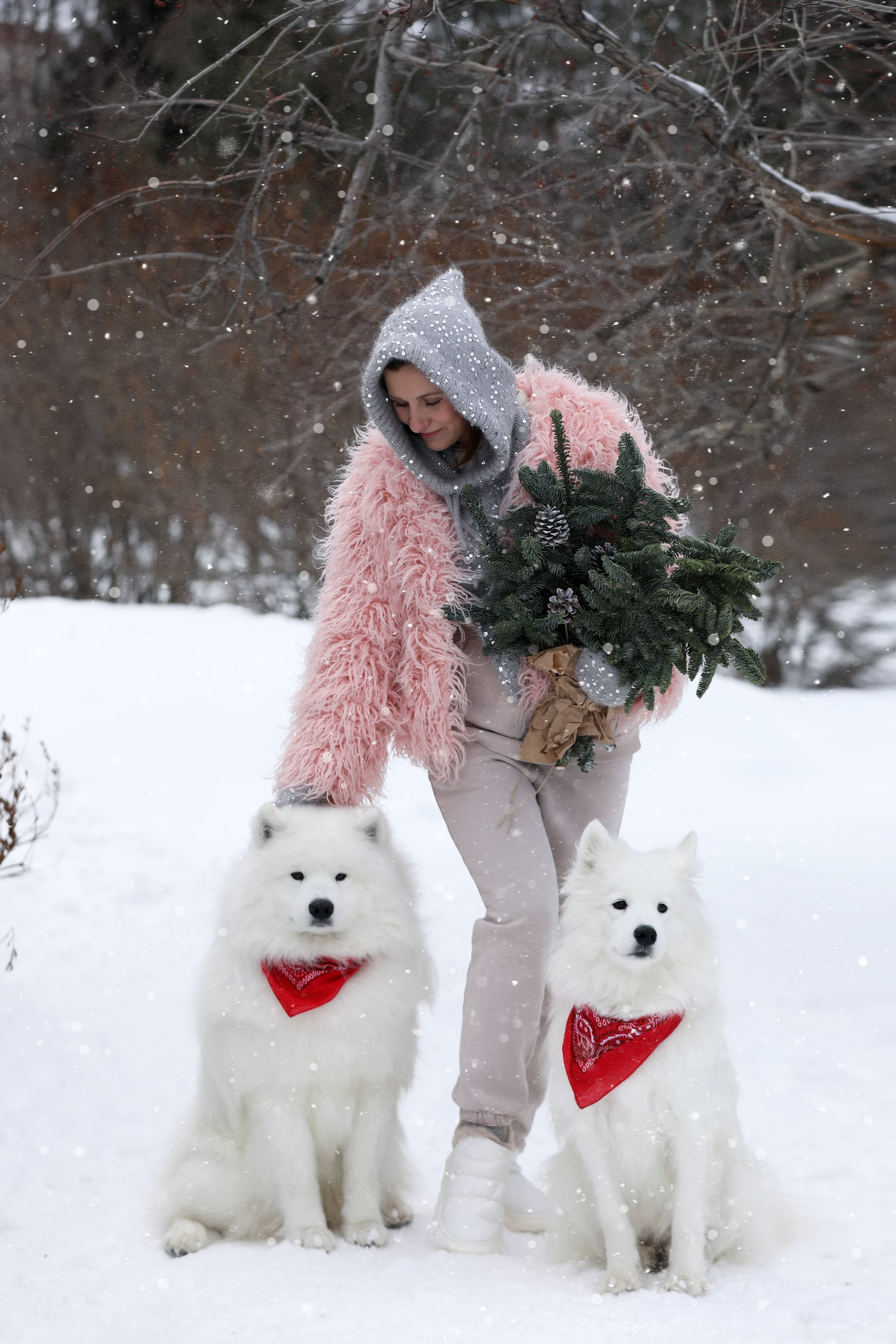 Юлия Квиткина фотограф. Самоед Новосибирск