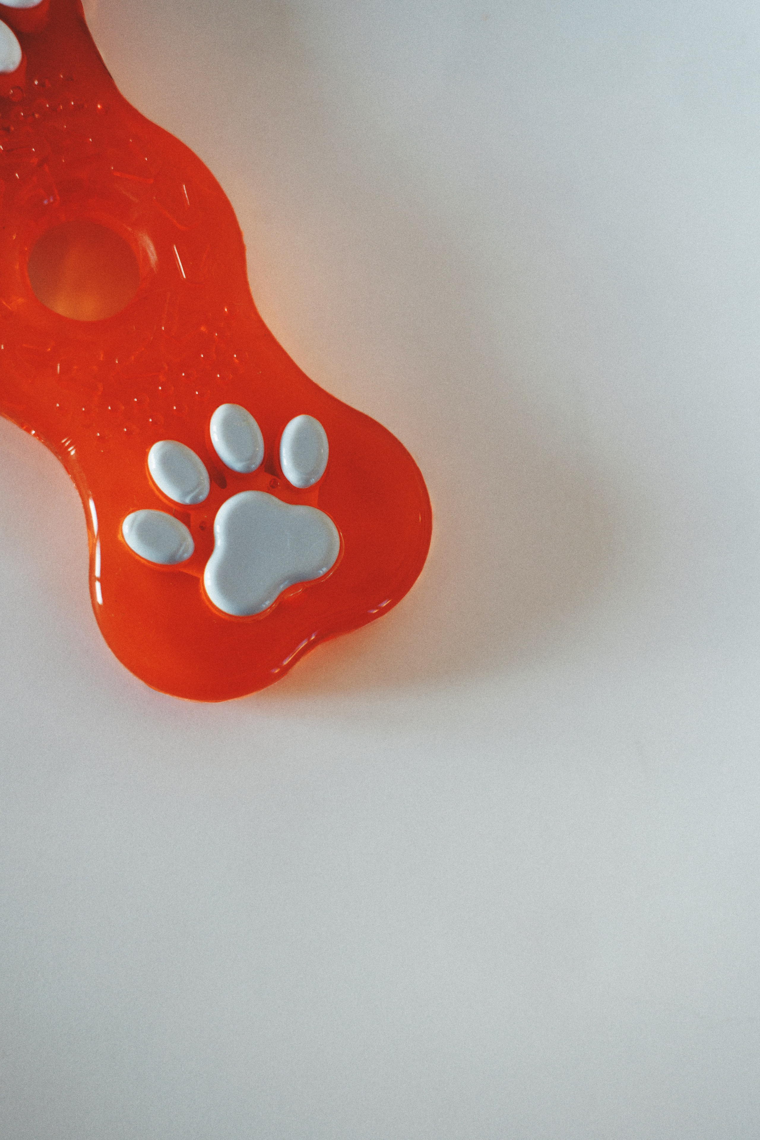 M-Pets. Фотограф анималист Осипчикова Мария