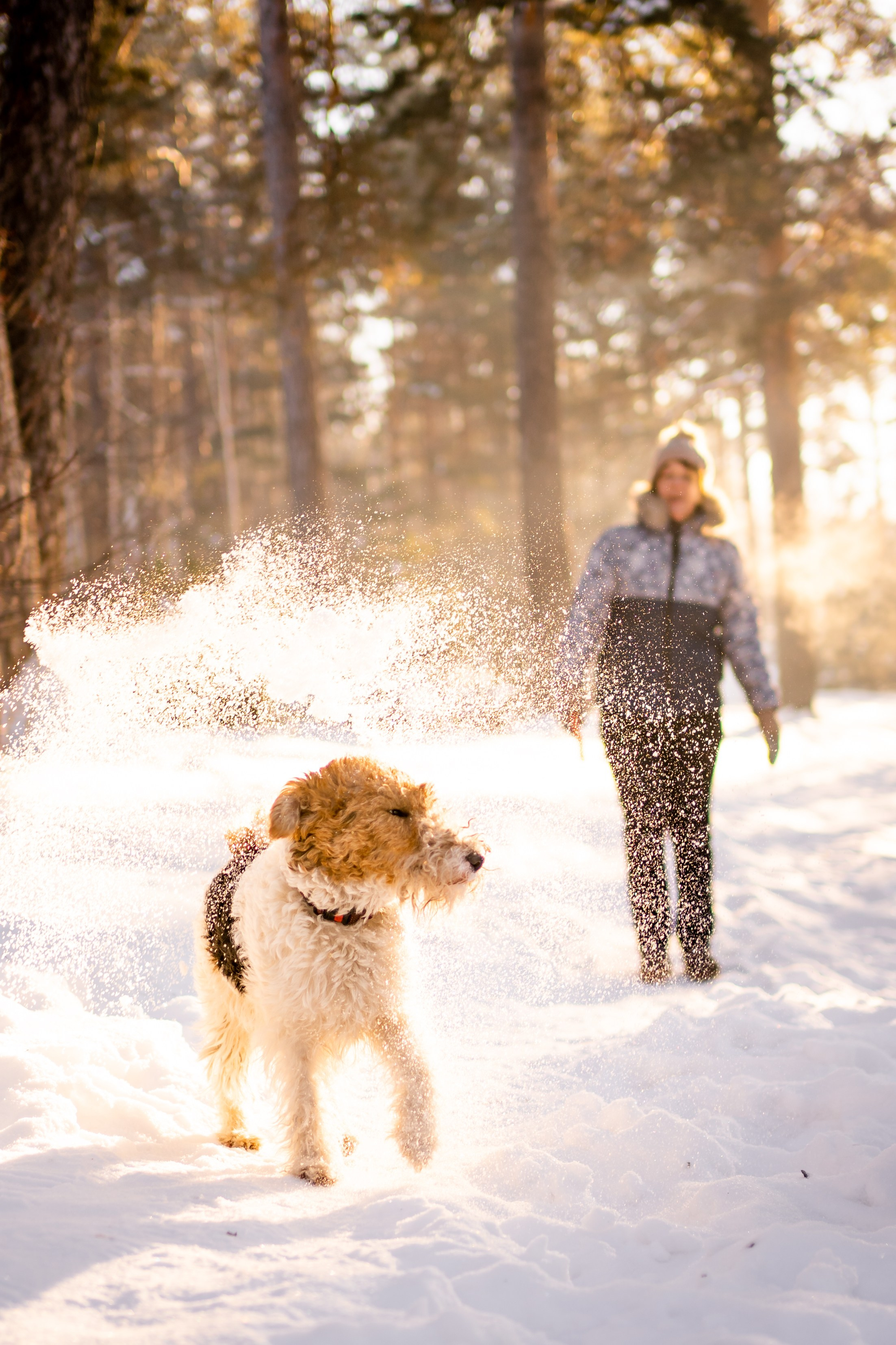 Г. Миасс 2023-2024. Фотограф-анималист Анастасия Большакова
