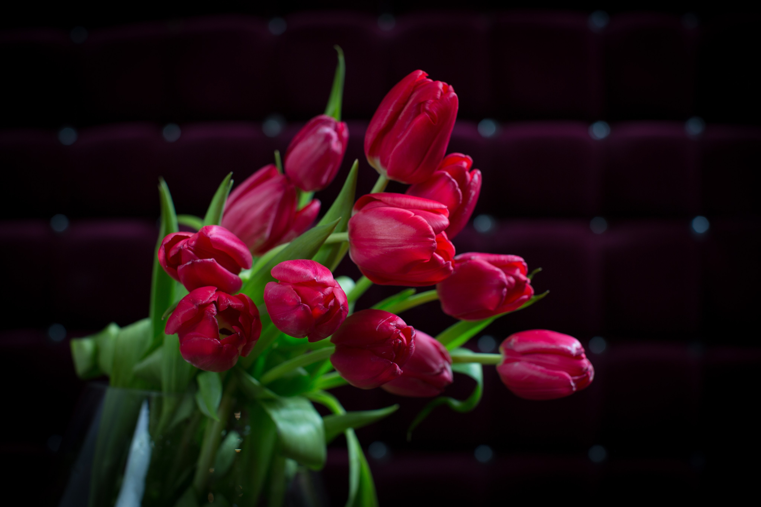 Фото Цветов. Студия Максима Белослюдцева