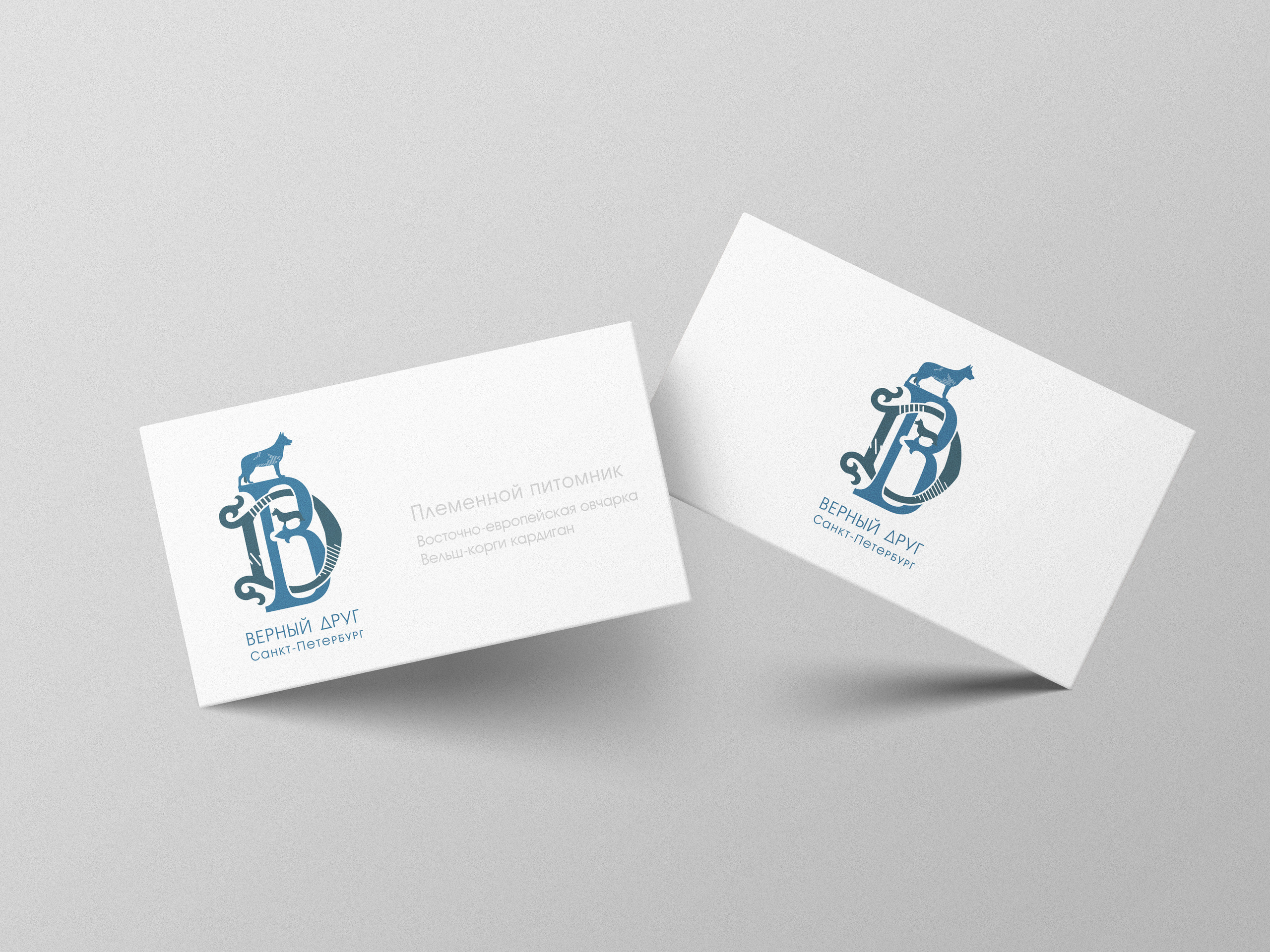 Питомник восточно-европейской овчарки и вельш-корги кардиганов "Верный друг", Санкт-Петербург