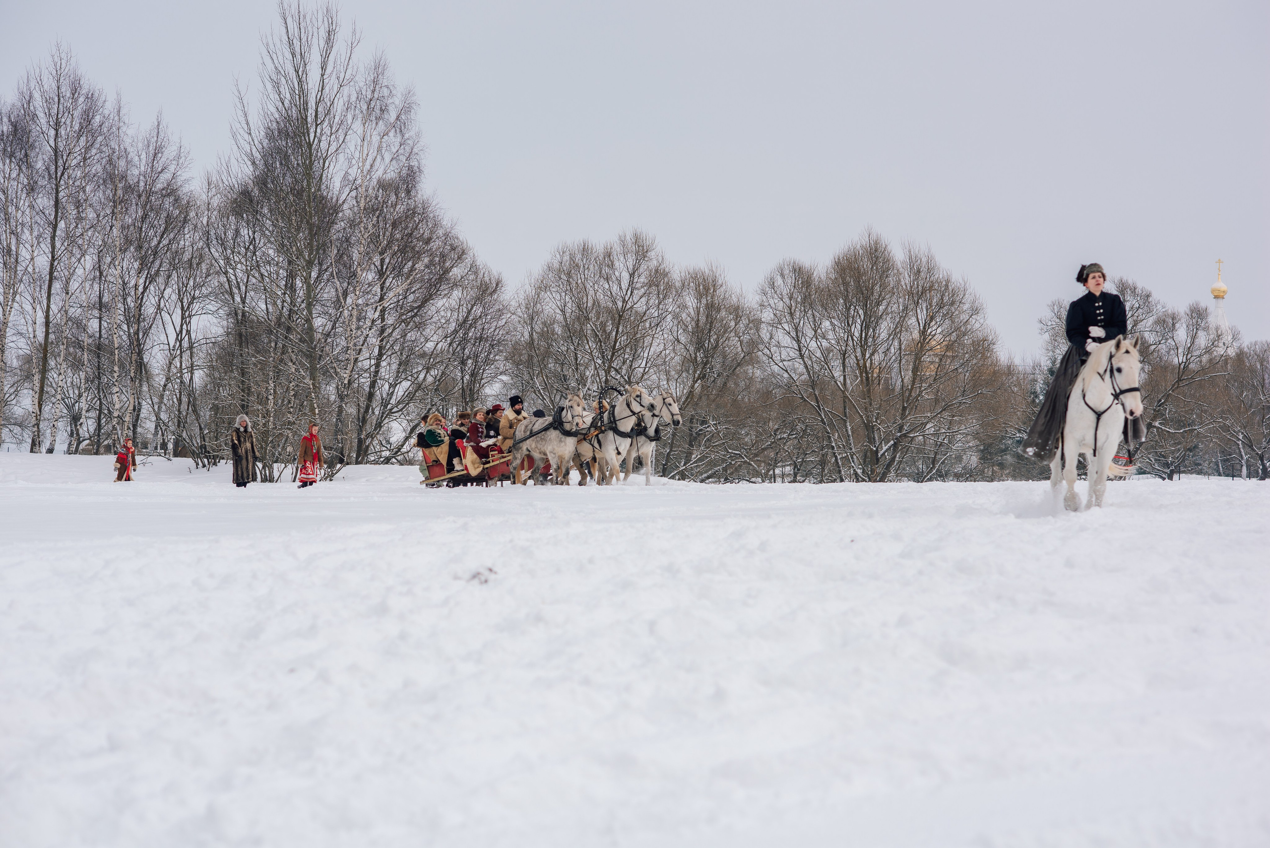 Зимняя парфорсная охота. Фотограф Диана Вальтер