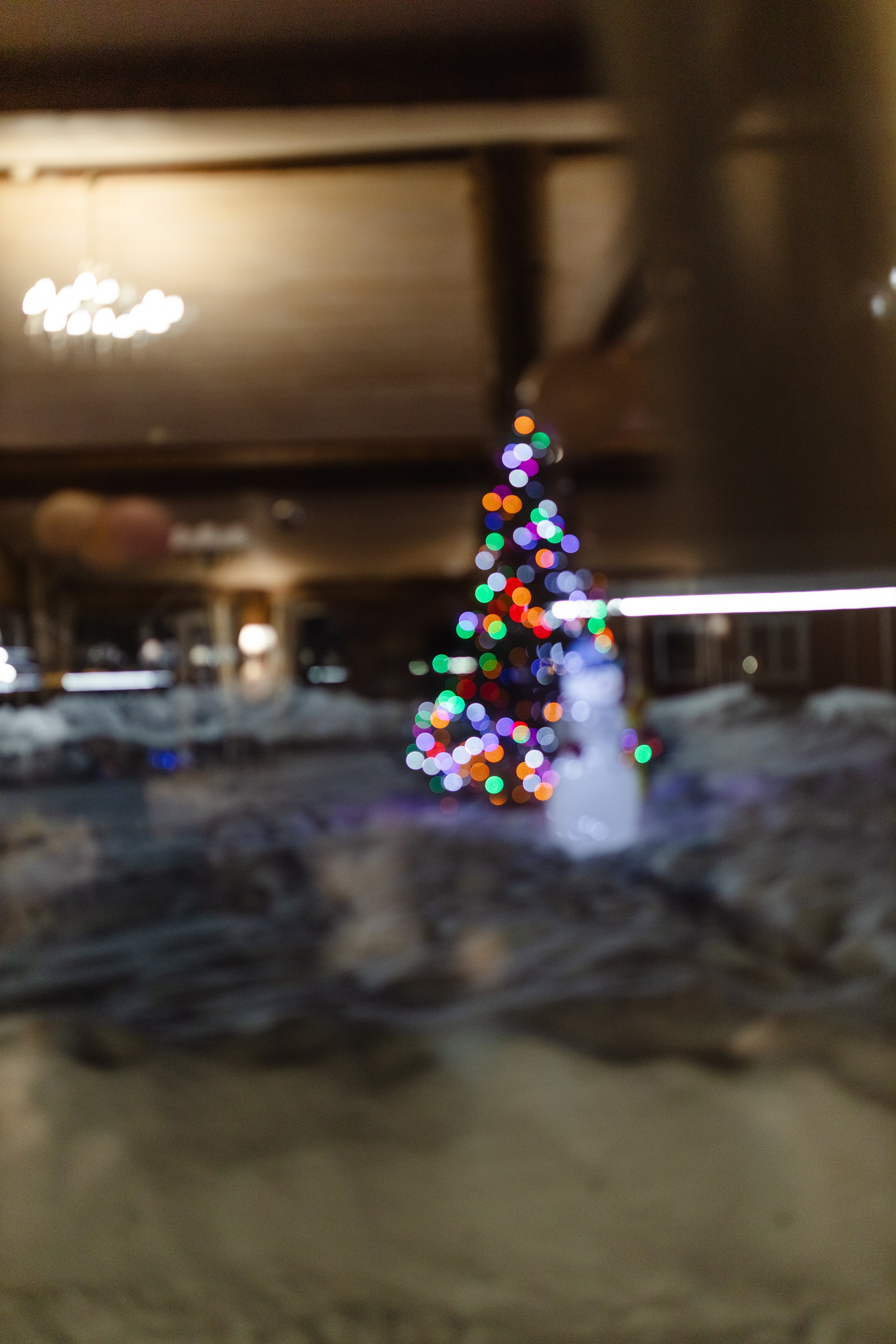 | И сердце мое — северный свет |. Jen.swph Свадебный фотограф