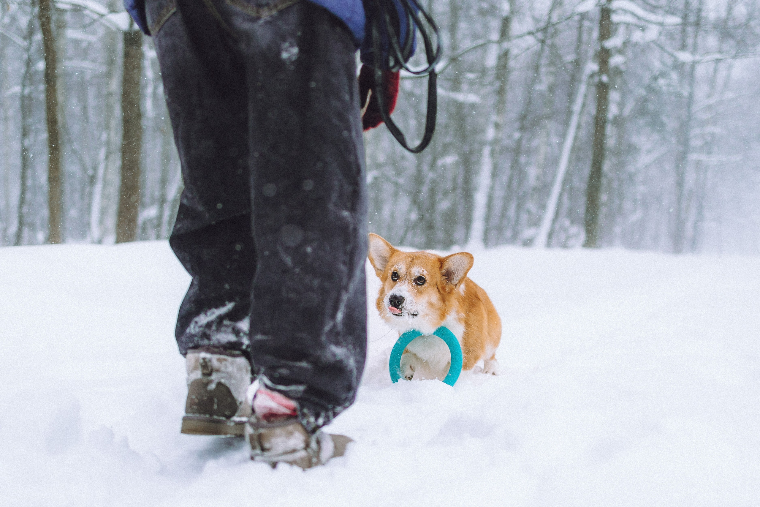 Юля и Юпитер