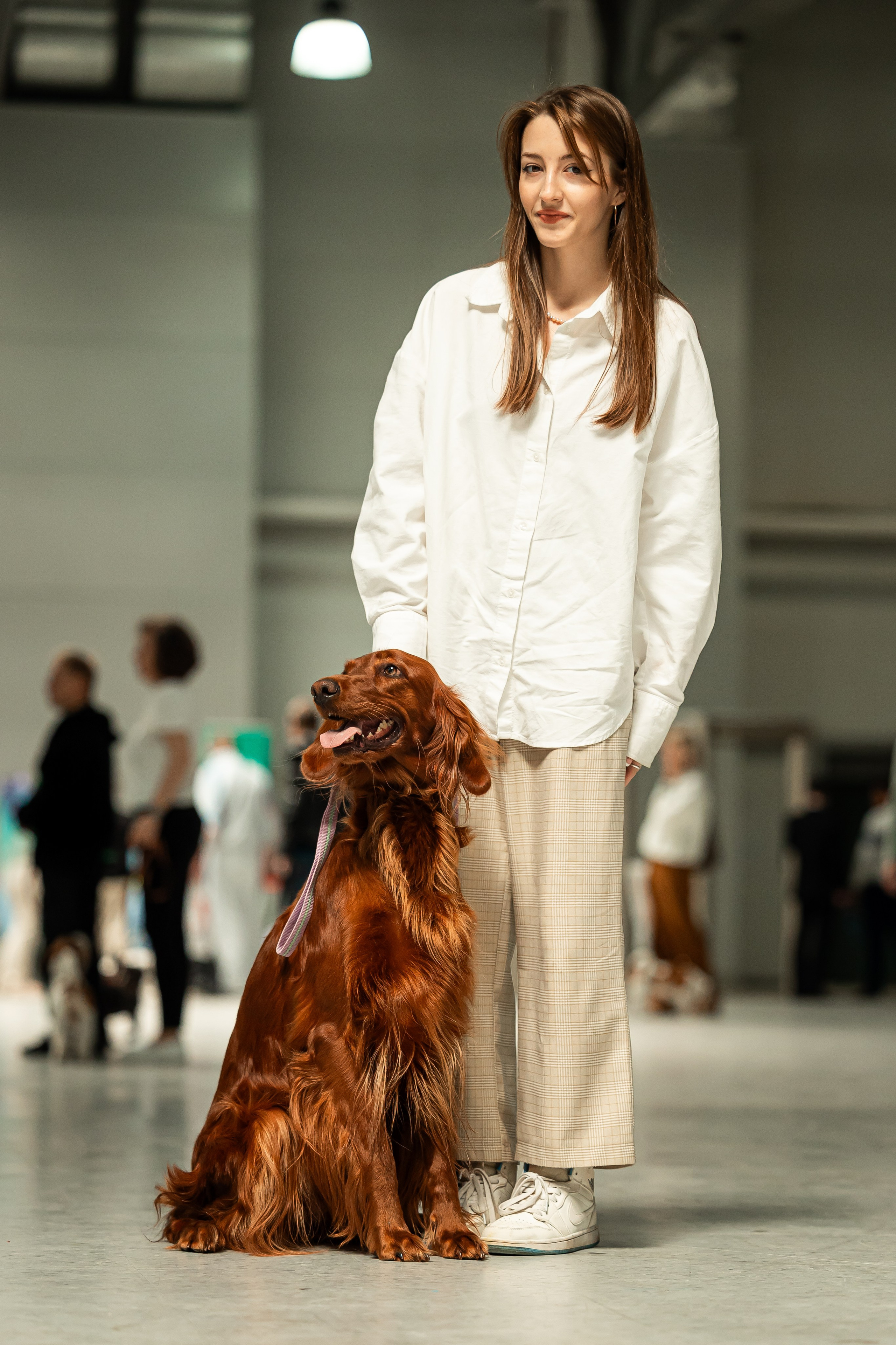 Выставка сеттеров 19.05.24