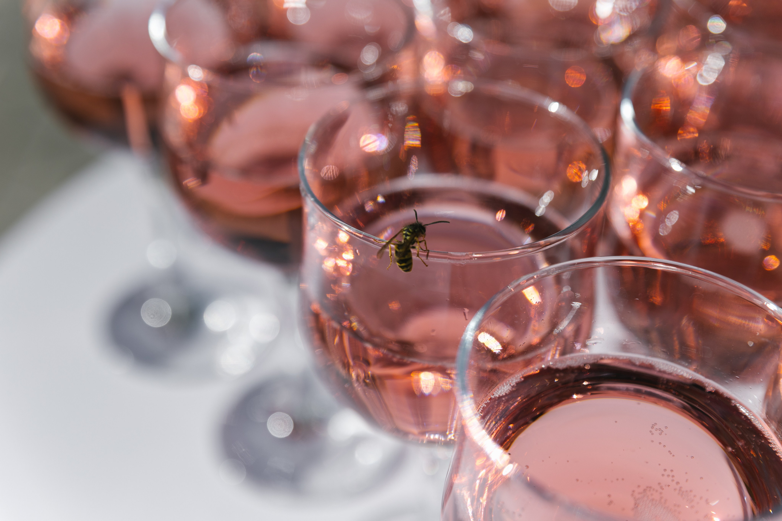 Даня и Оля. Свадебный фотограф в Пятигорске и КМВ Софья Аджикеримова