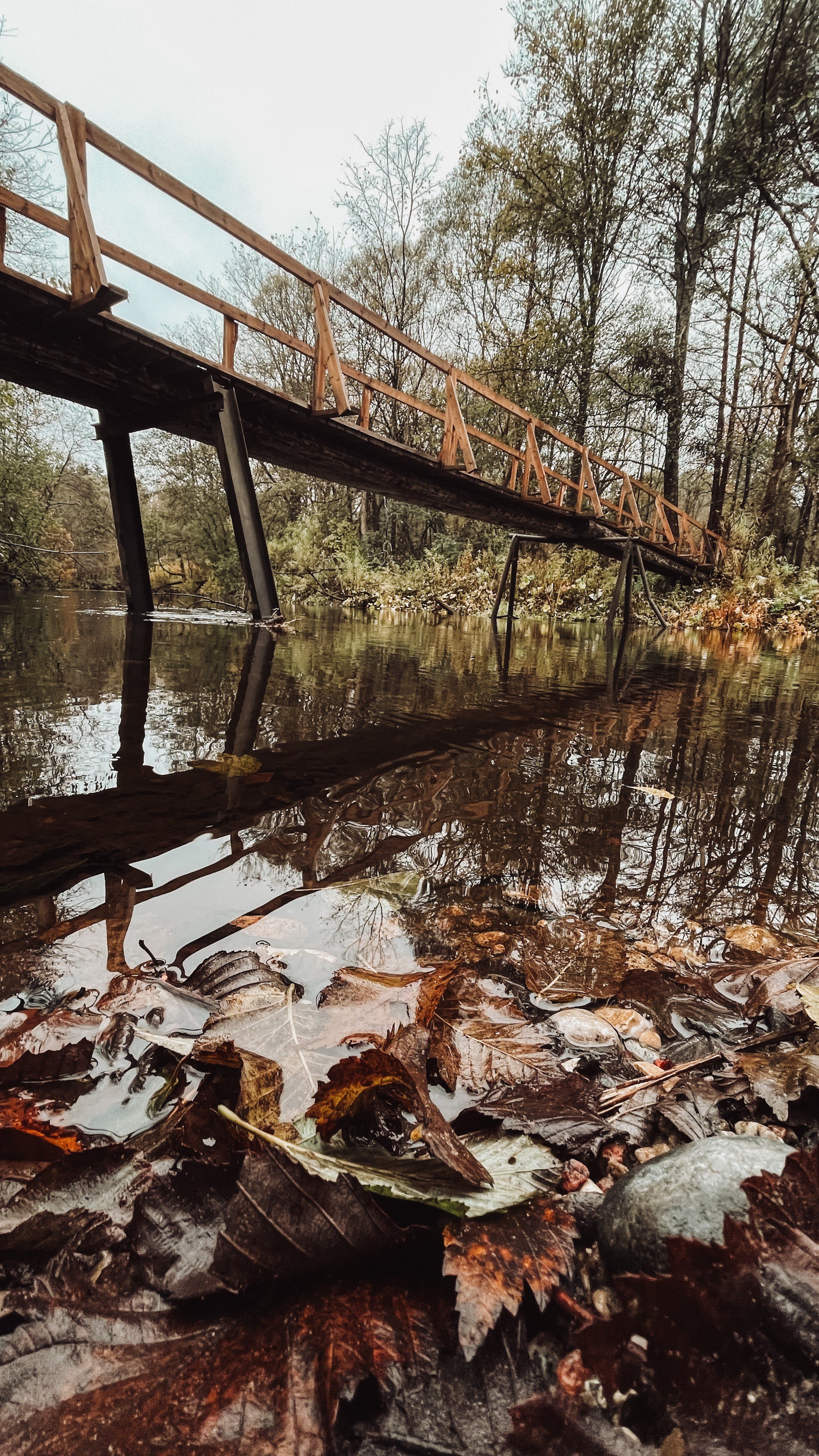 Пейзаж. Фотограф Олеся Шипихина г. Москва