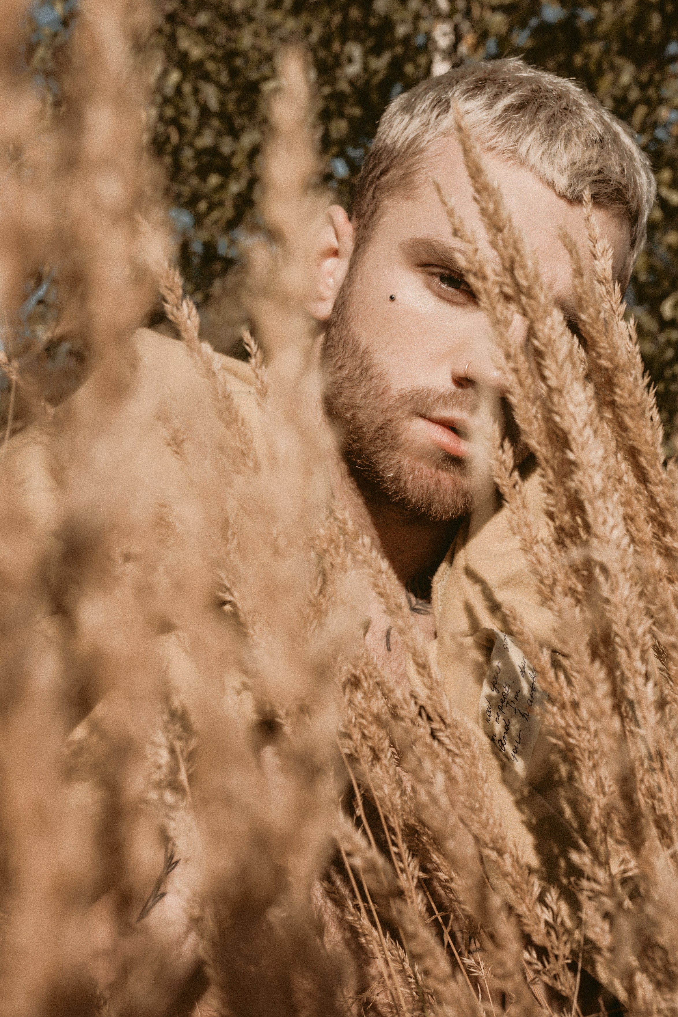 Misha. Главная